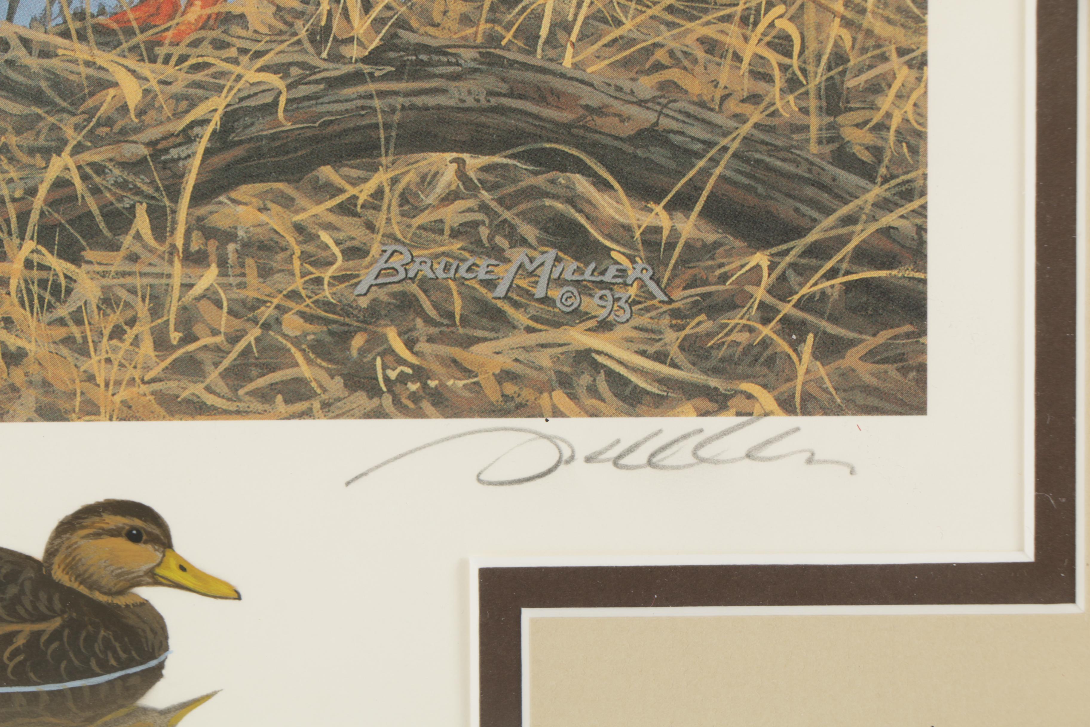 Limited Edition Offset Lithographs of Waterfowl with Commemorative Stamps