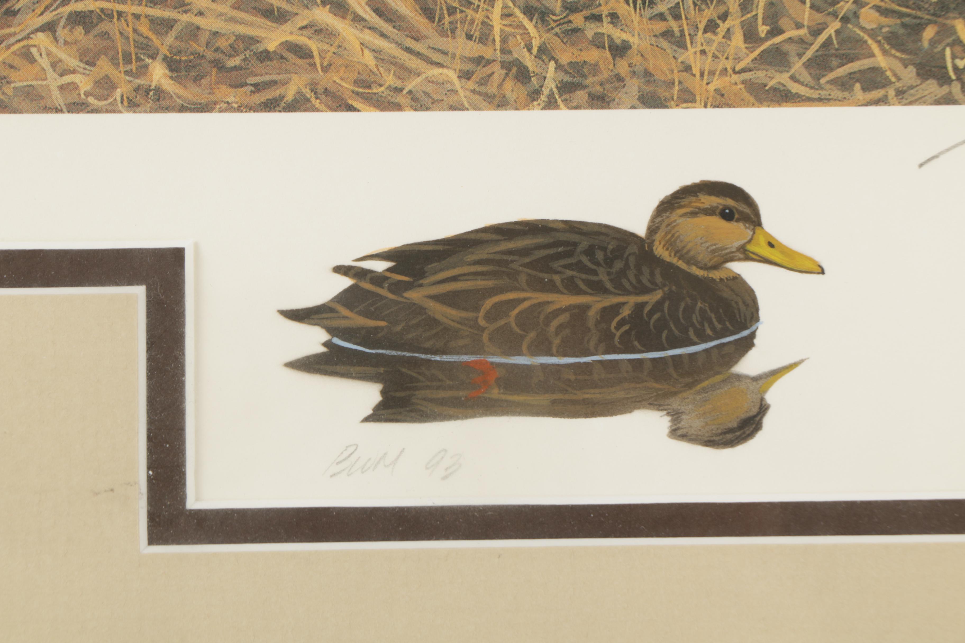 Limited Edition Offset Lithographs of Waterfowl with Commemorative Stamps