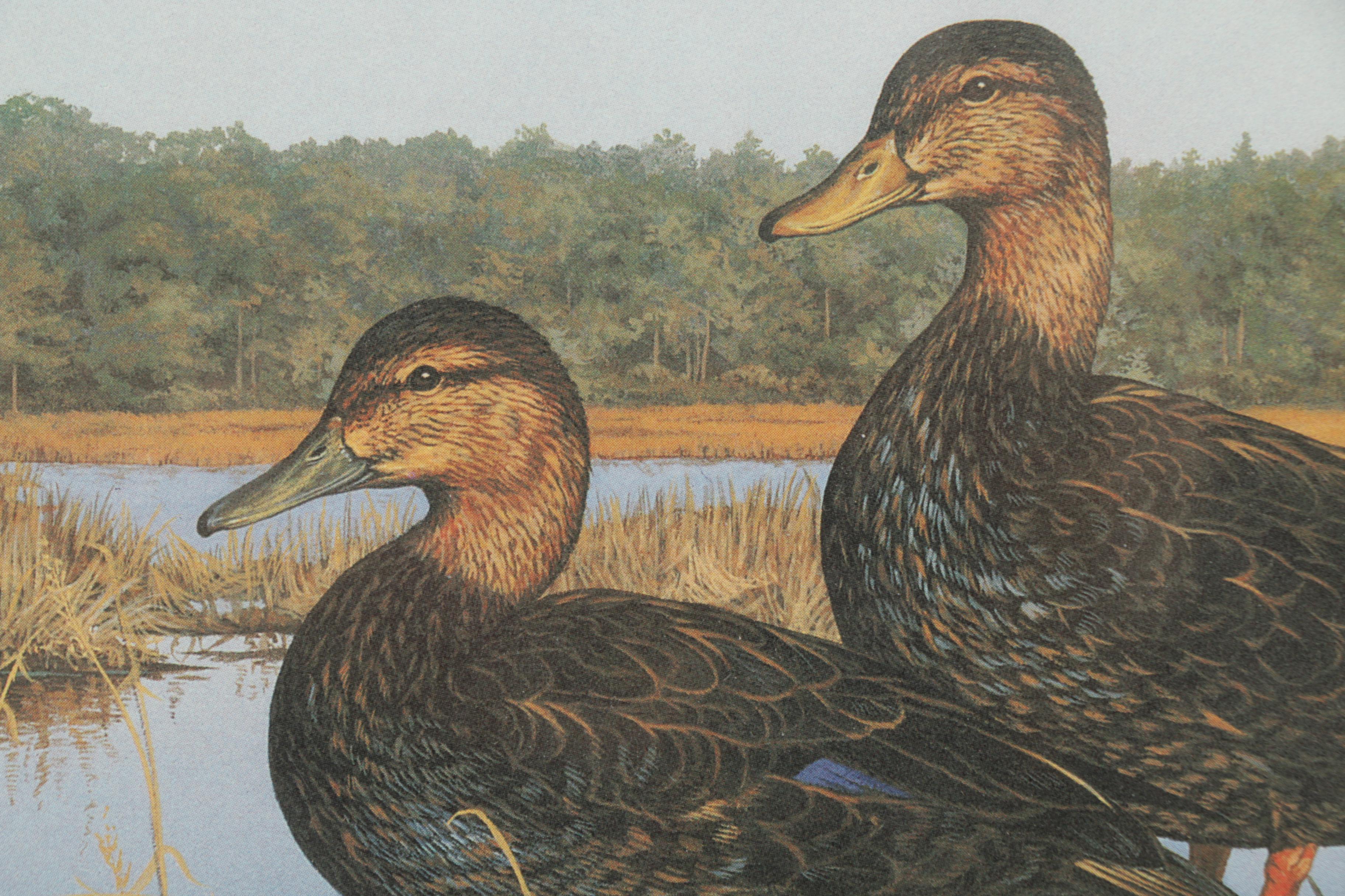 Limited Edition Offset Lithographs of Waterfowl with Commemorative Stamps