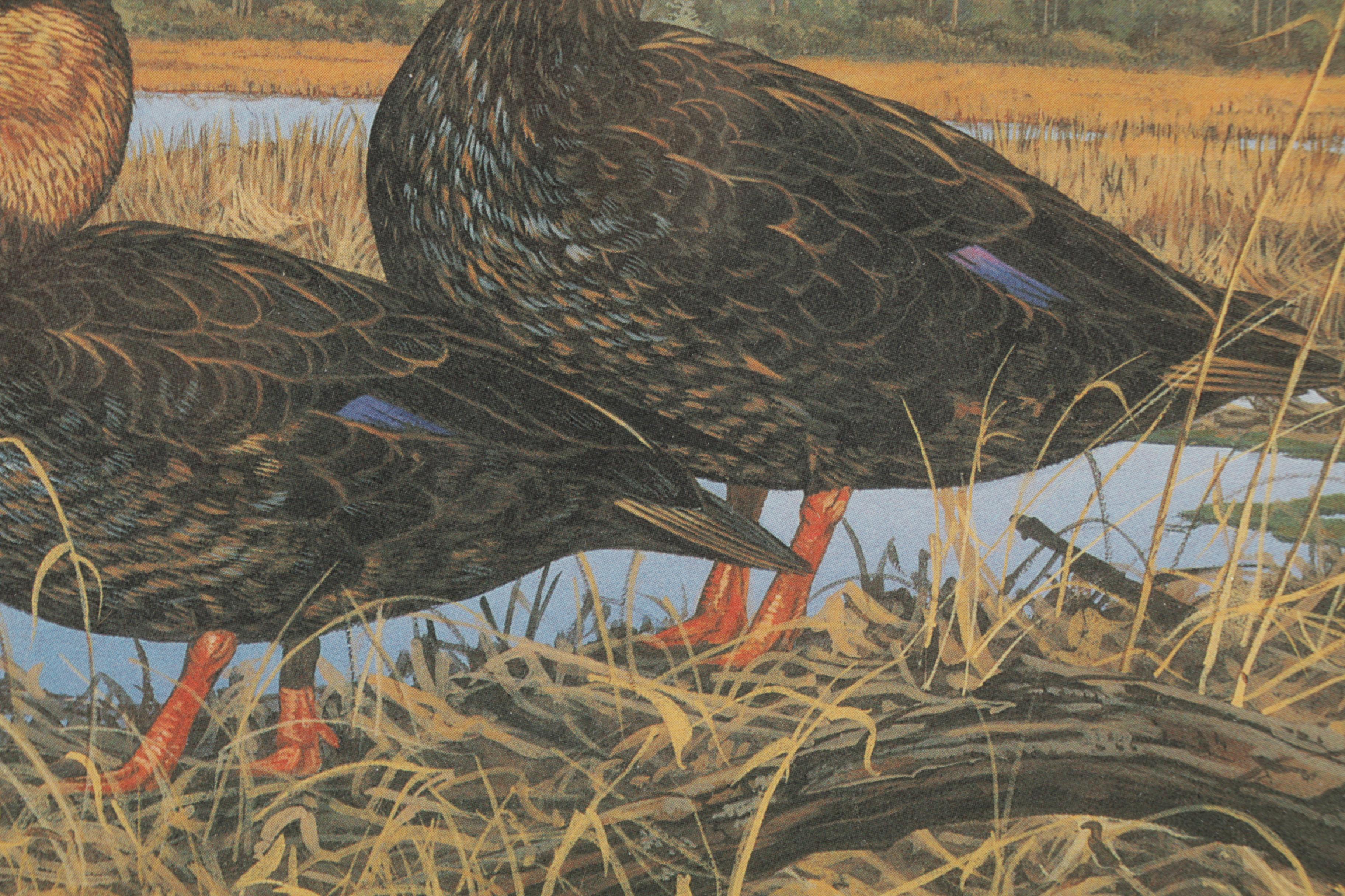 Limited Edition Offset Lithographs of Waterfowl with Commemorative Stamps