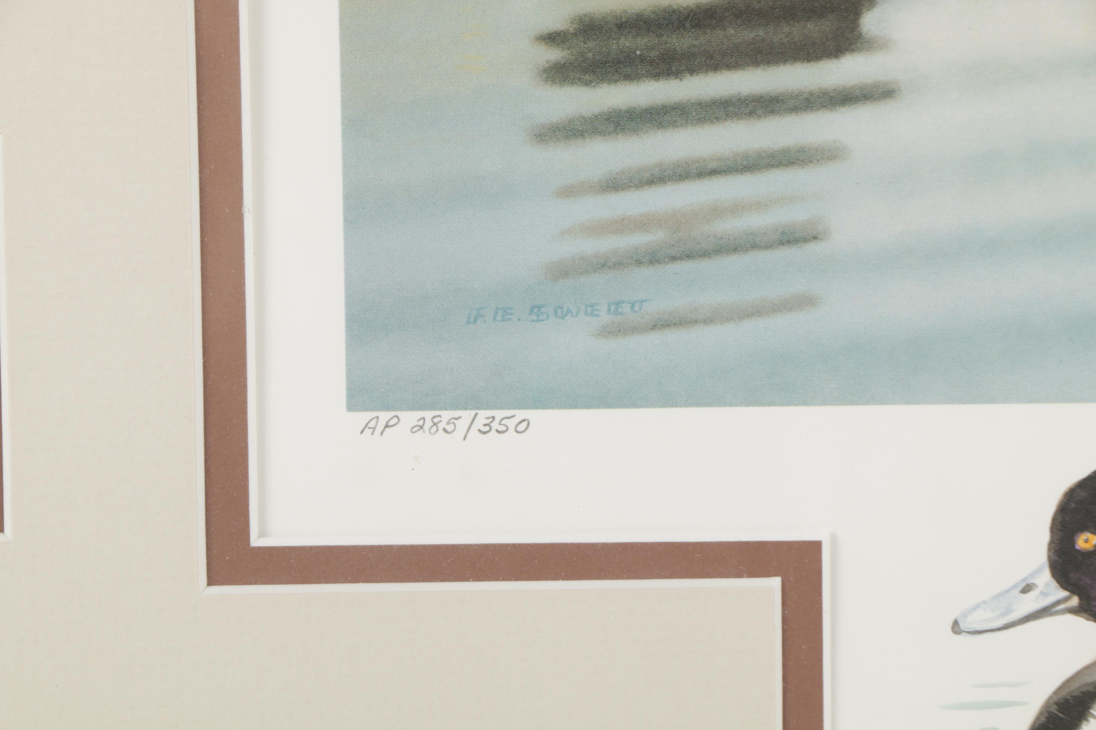 Limited Edition Offset Lithographs of Waterfowl with Commemorative Stamps