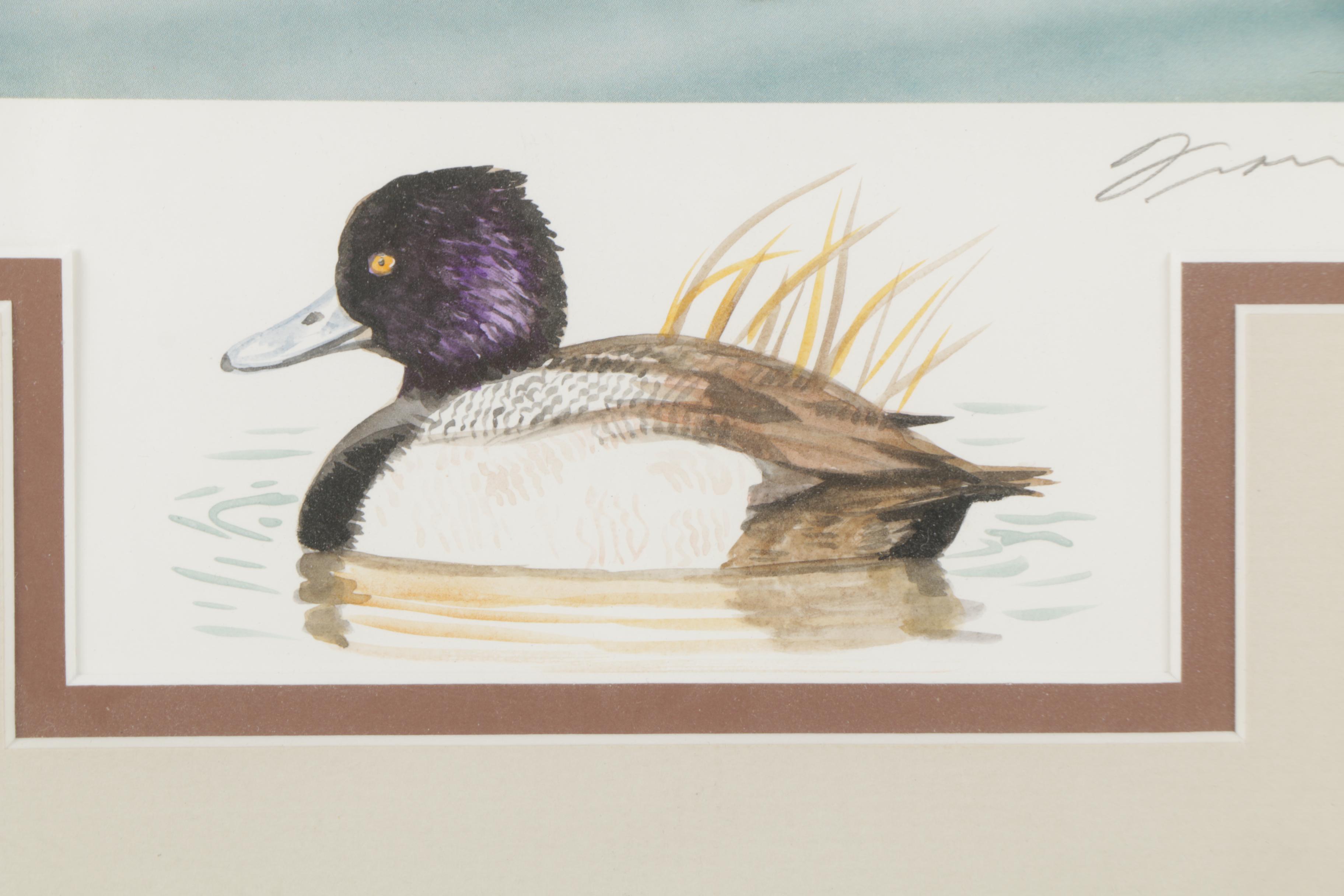 Limited Edition Offset Lithographs of Waterfowl with Commemorative Stamps
