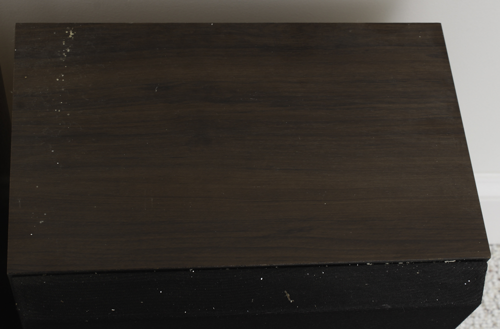 Technics Floor Speakers