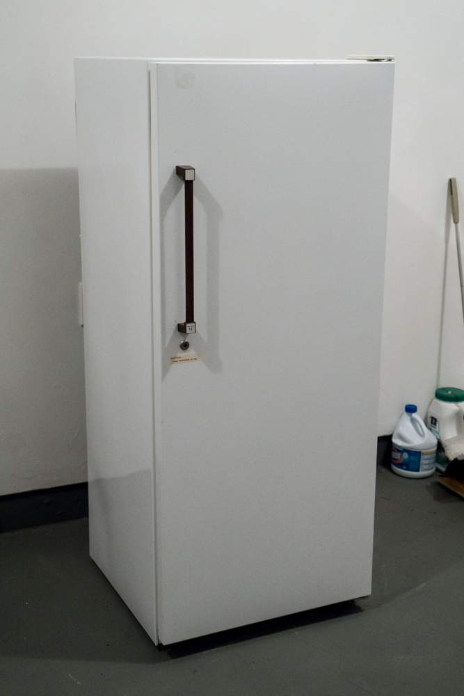 Kenmore Coldspot Freezer