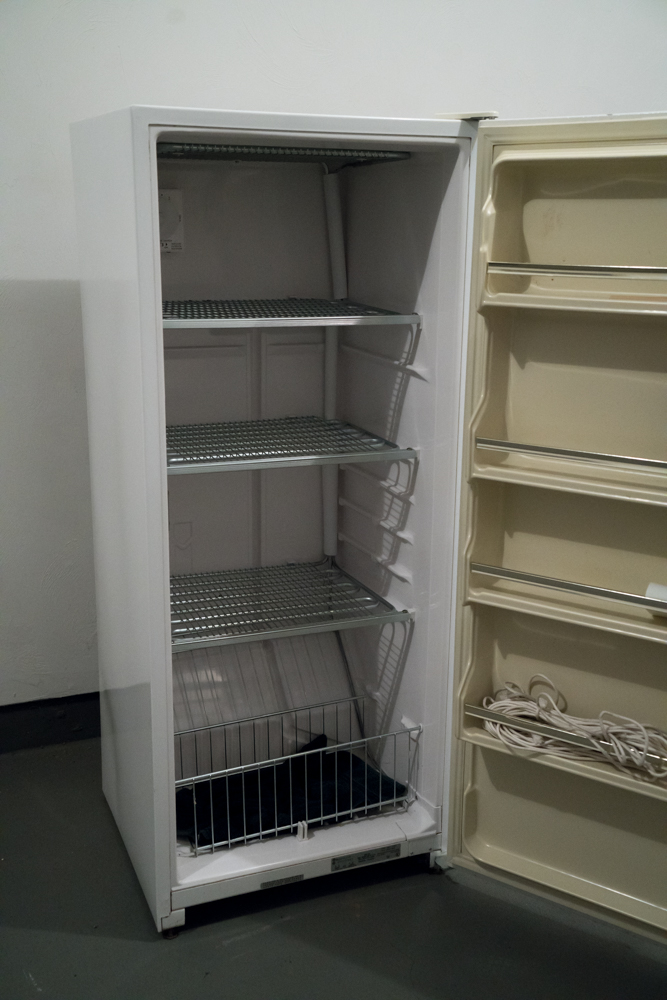 Kenmore Coldspot Freezer