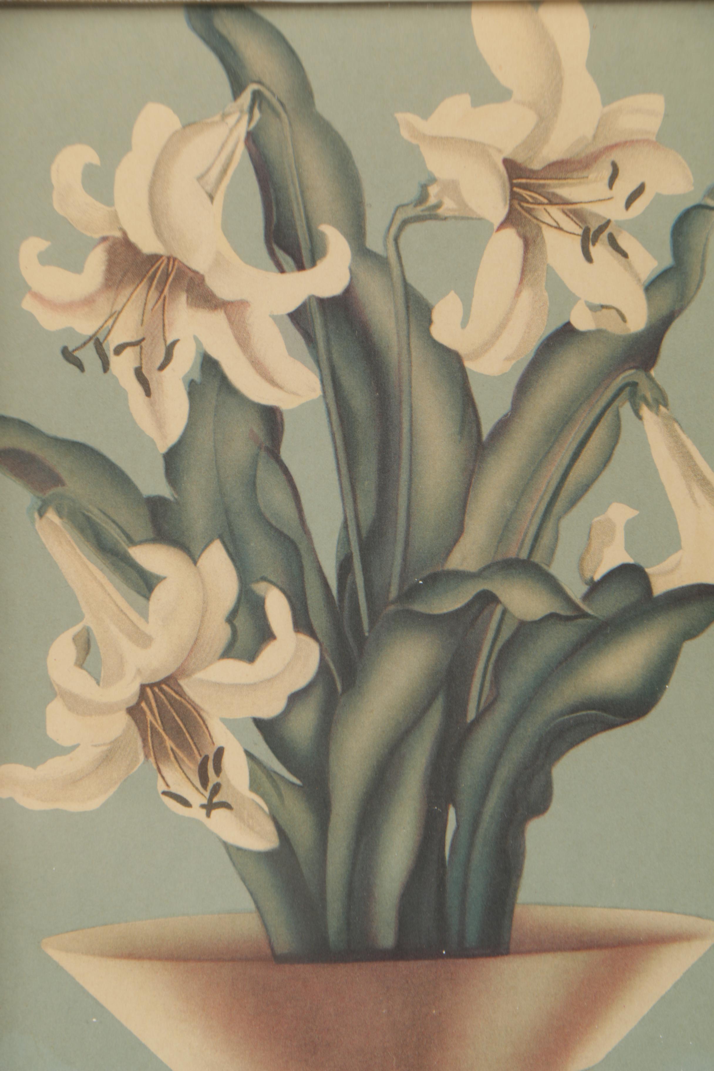 Floral Offset Lithographs after Sanford de Jonge