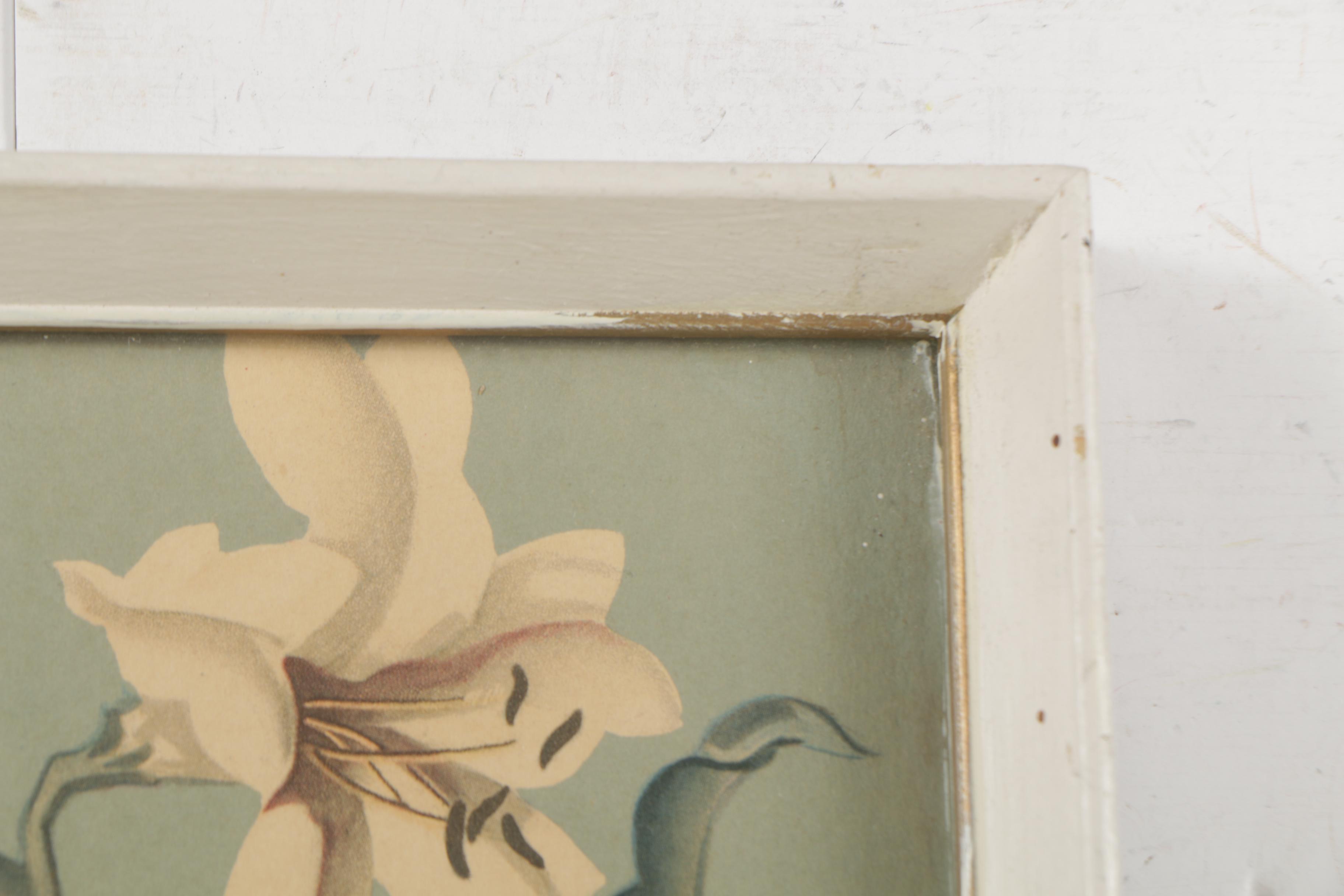 Floral Offset Lithographs after Sanford de Jonge