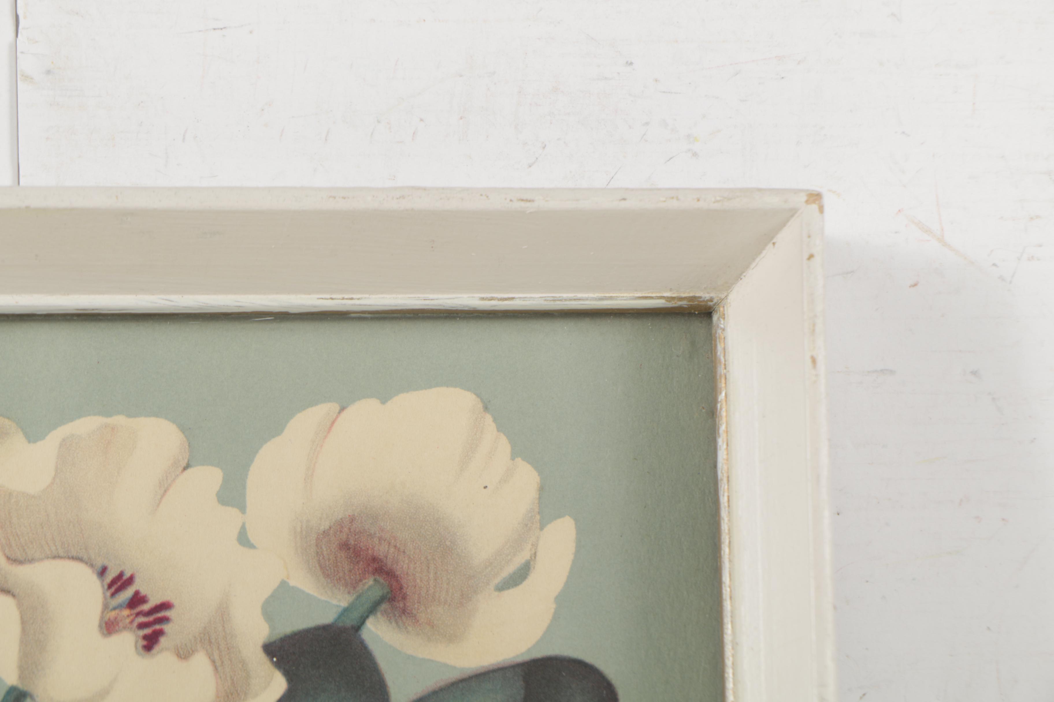 Floral Offset Lithographs after Sanford de Jonge