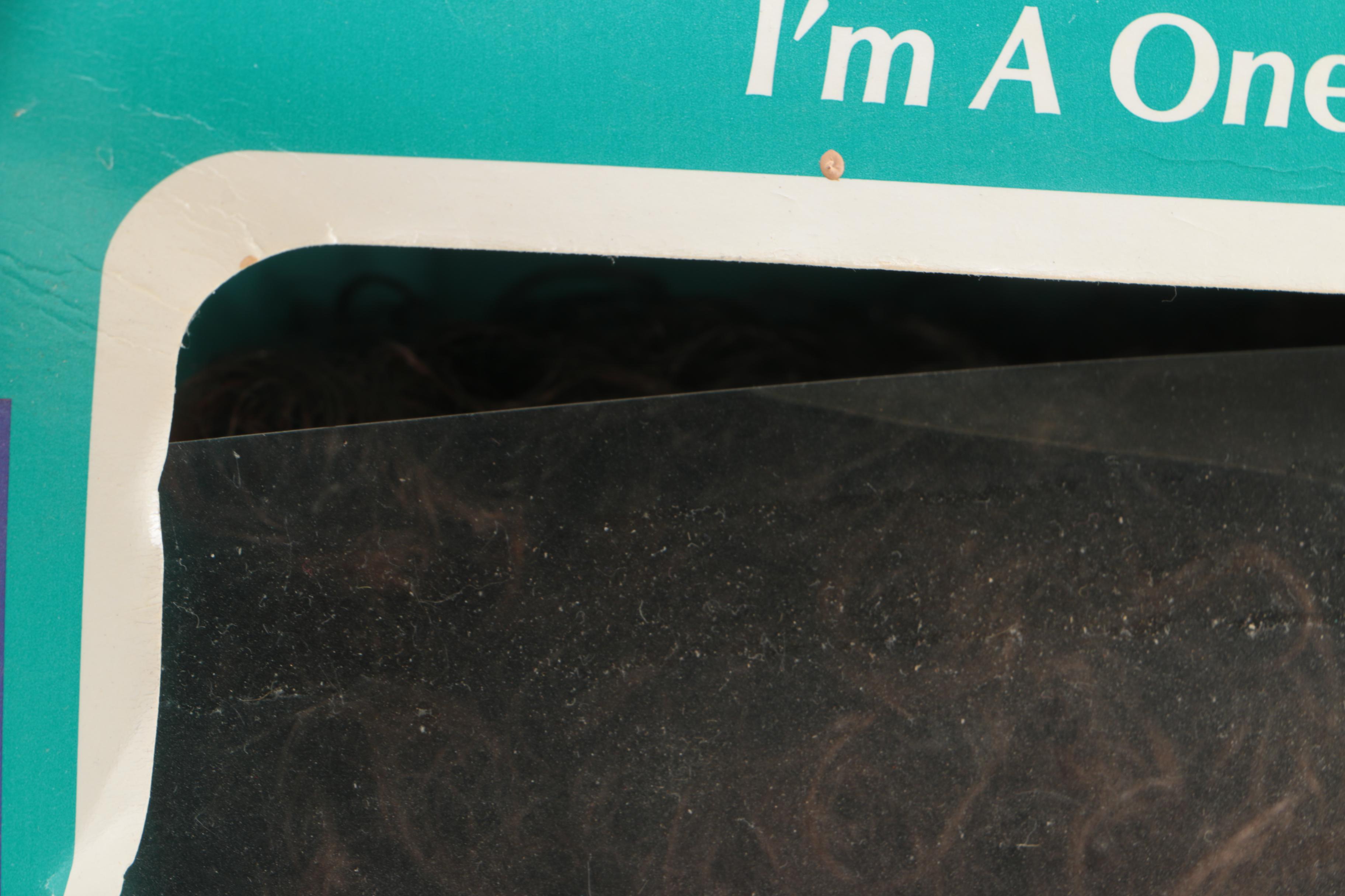 2000s Cabbage Patch Kids Dolls