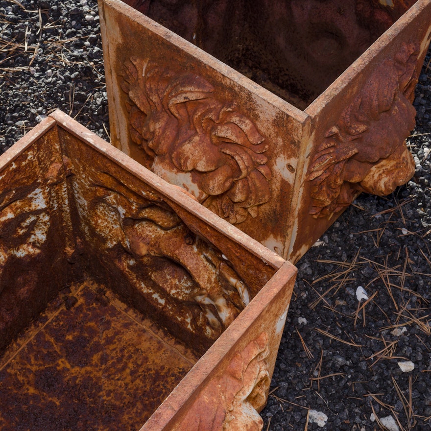 Square Outdoor Planters with Lion Head Motif