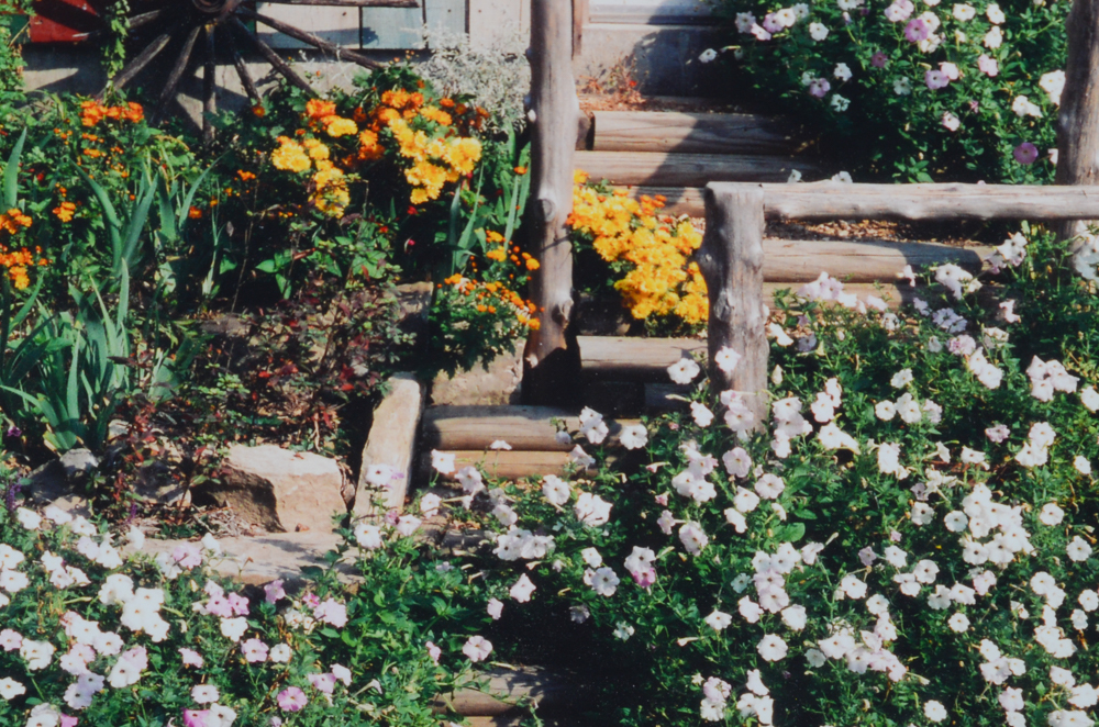 Ellen Loeffler-Kalinoski Original Color Photograph of a Shop Door