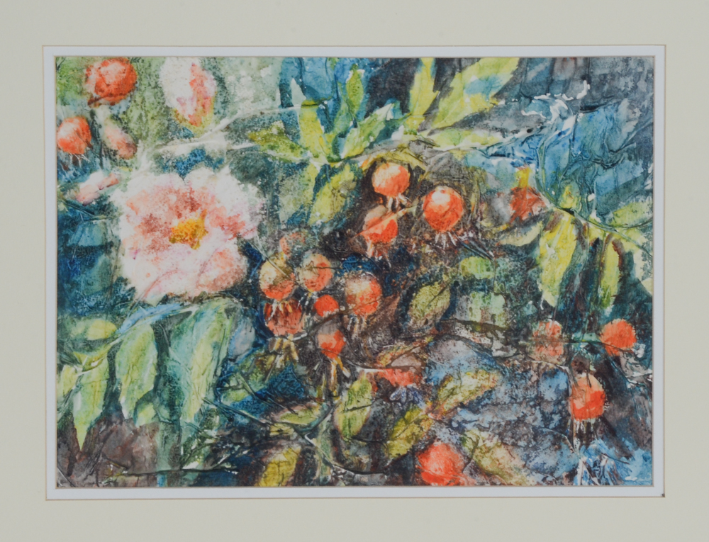Mieze Riedel Original Watercolor Painting "Hip Rose"