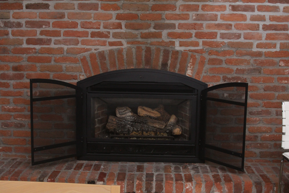 Mendota "Seabrook" Gas Fireplace Insert