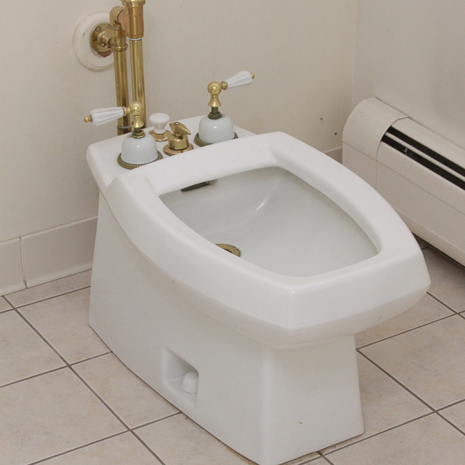 Contemporary Bidet Toilet
