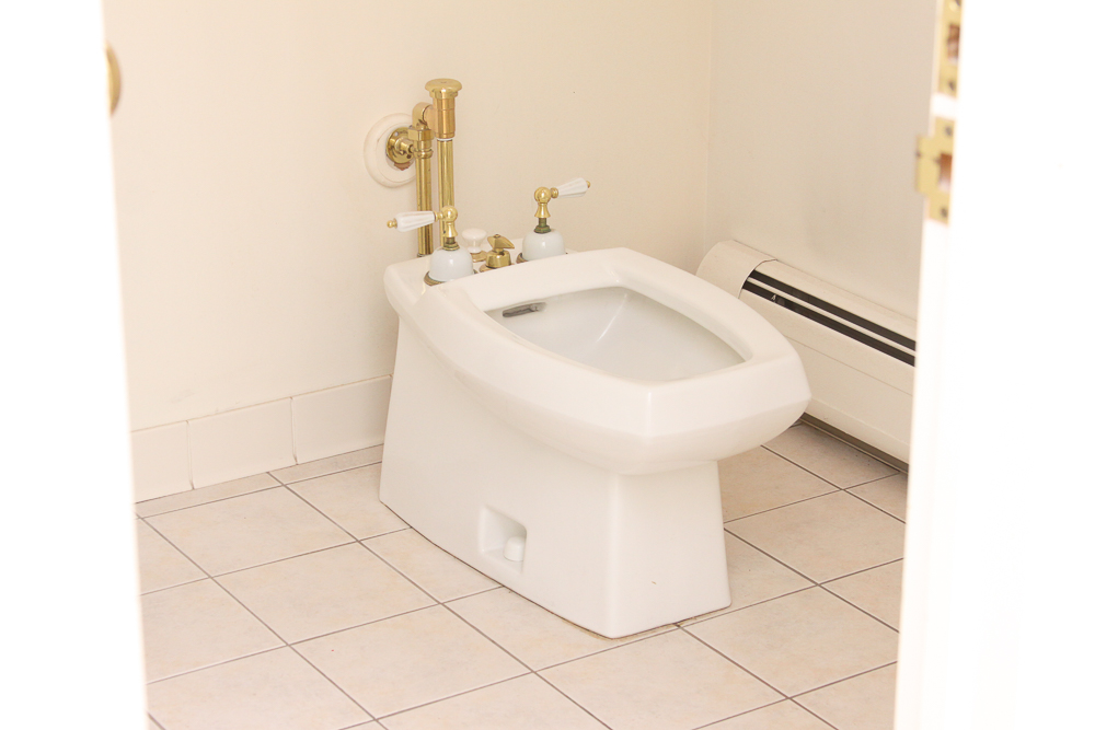 Contemporary Bidet Toilet