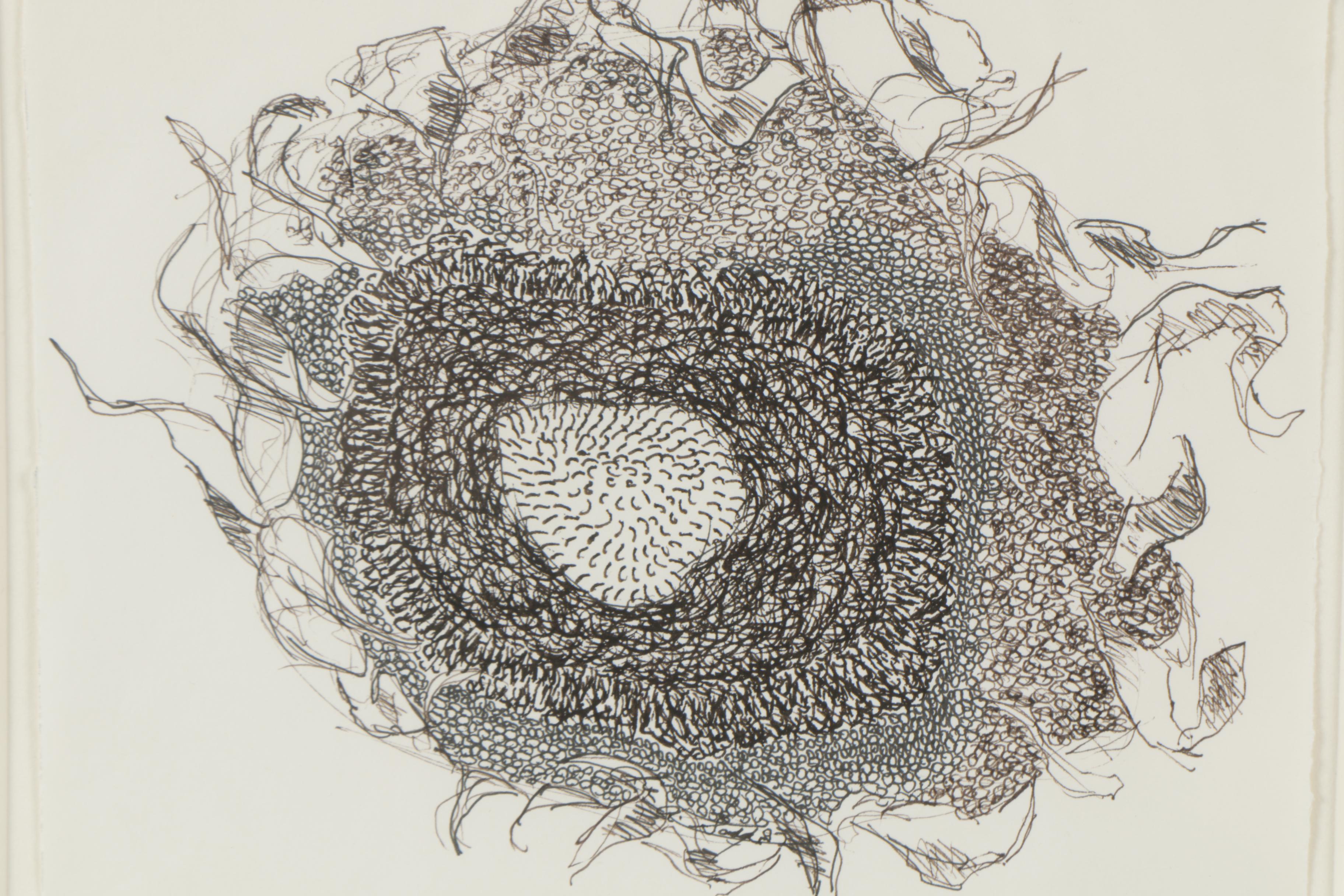Ink Drawings "Cycle of Life"
