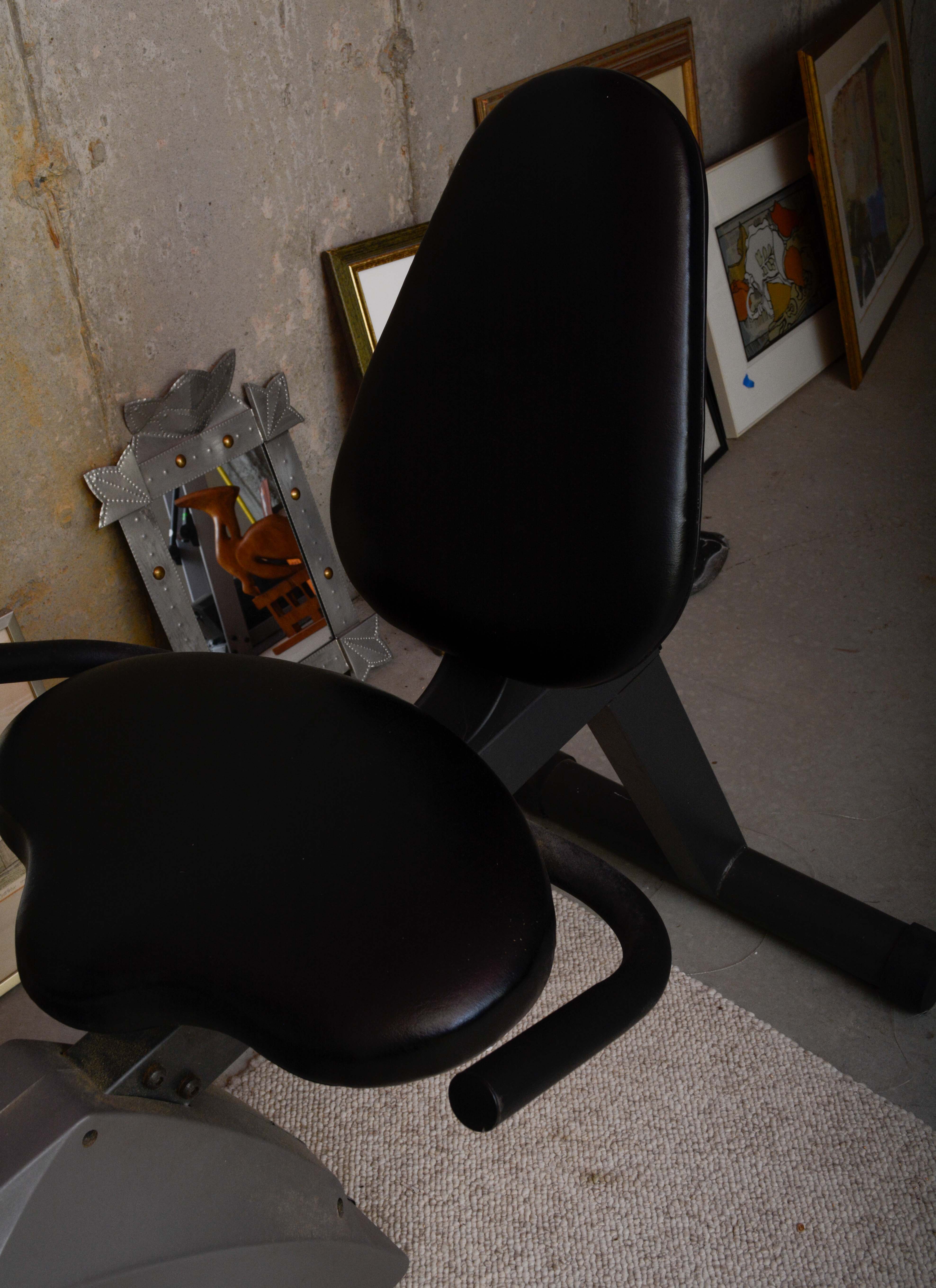 Pro-Form 955R Exercise Bicycle