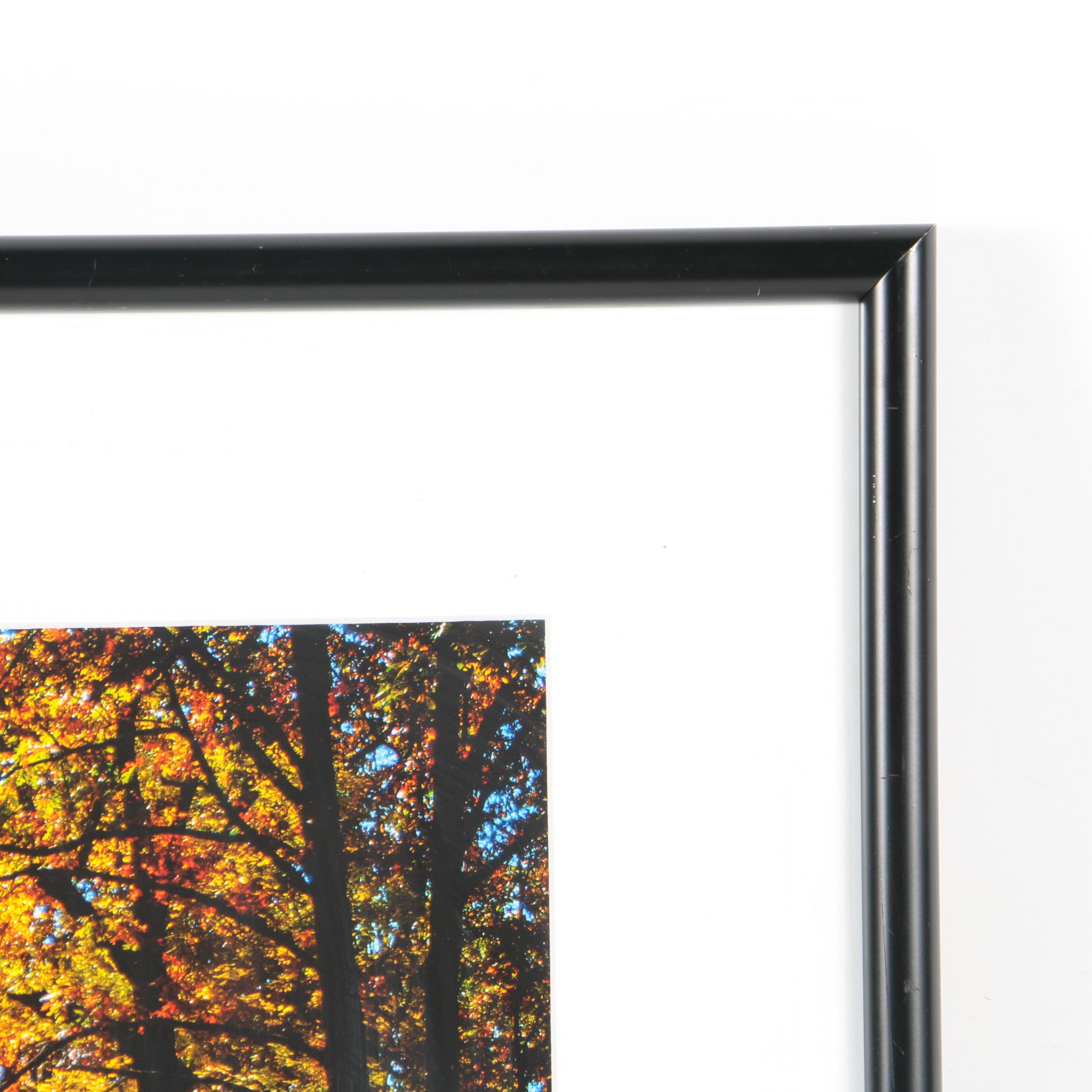 Signed Color Photographs