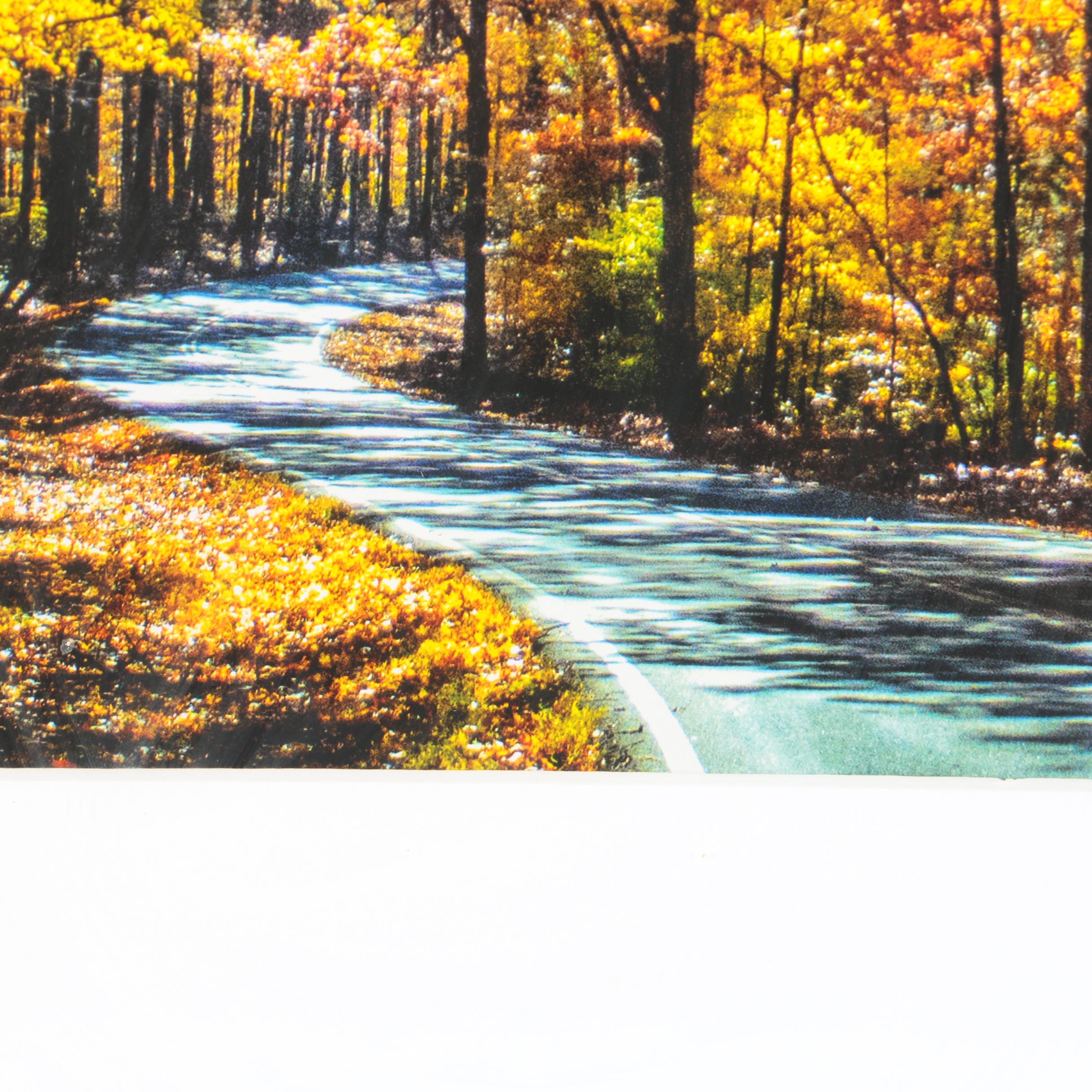 Signed Color Photographs