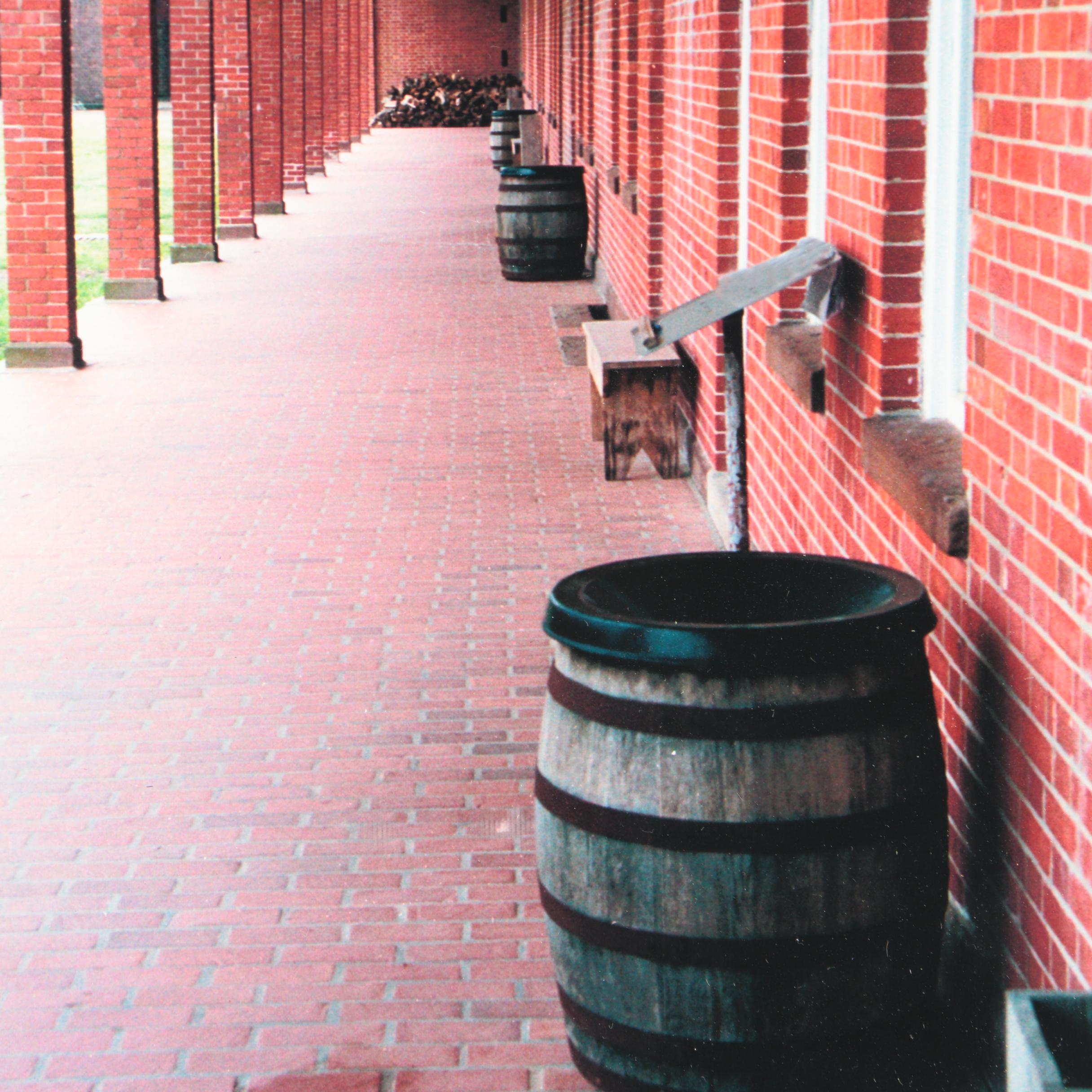 Signed Color Photographs