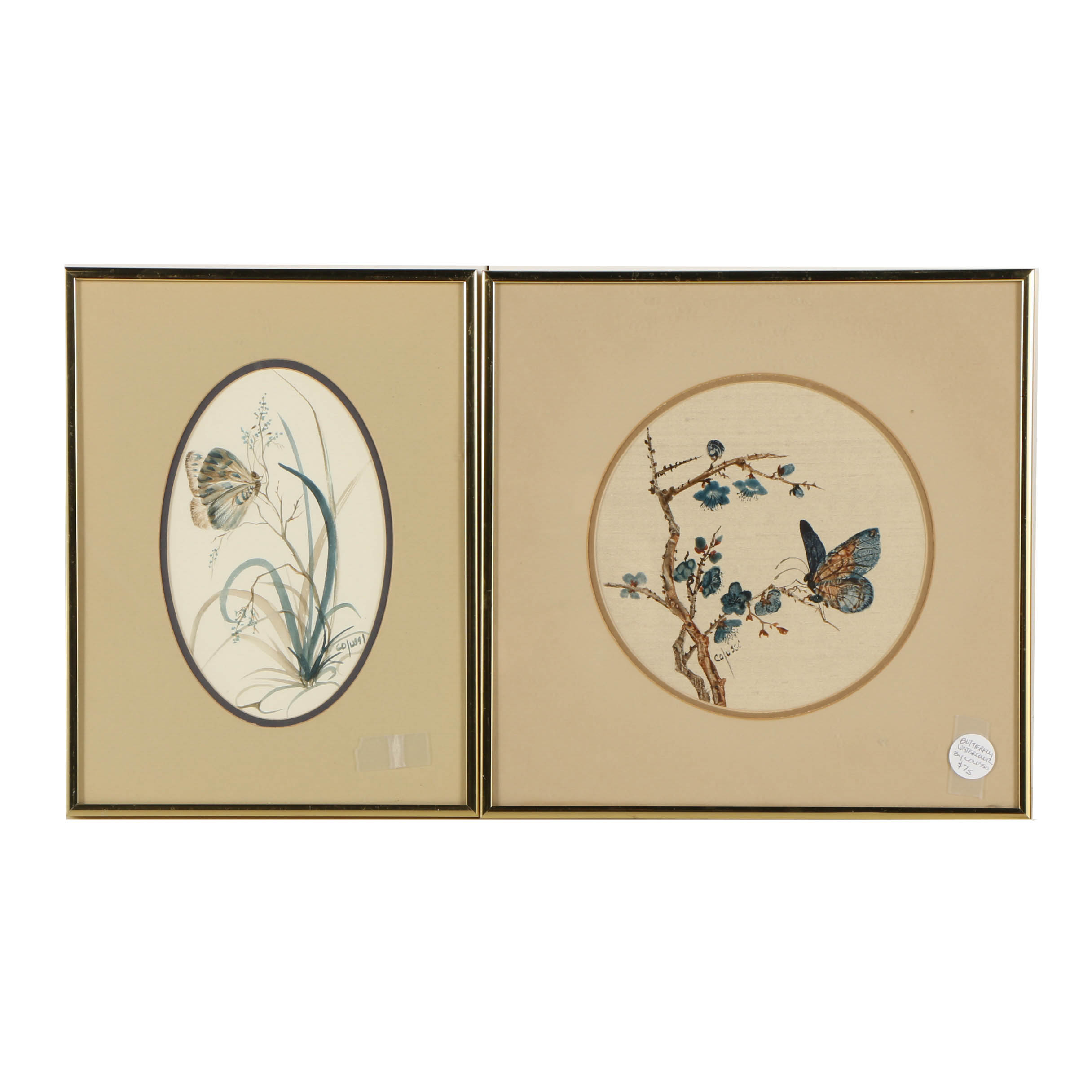 Louise Colussi Watercolor Paintings of Butterflies