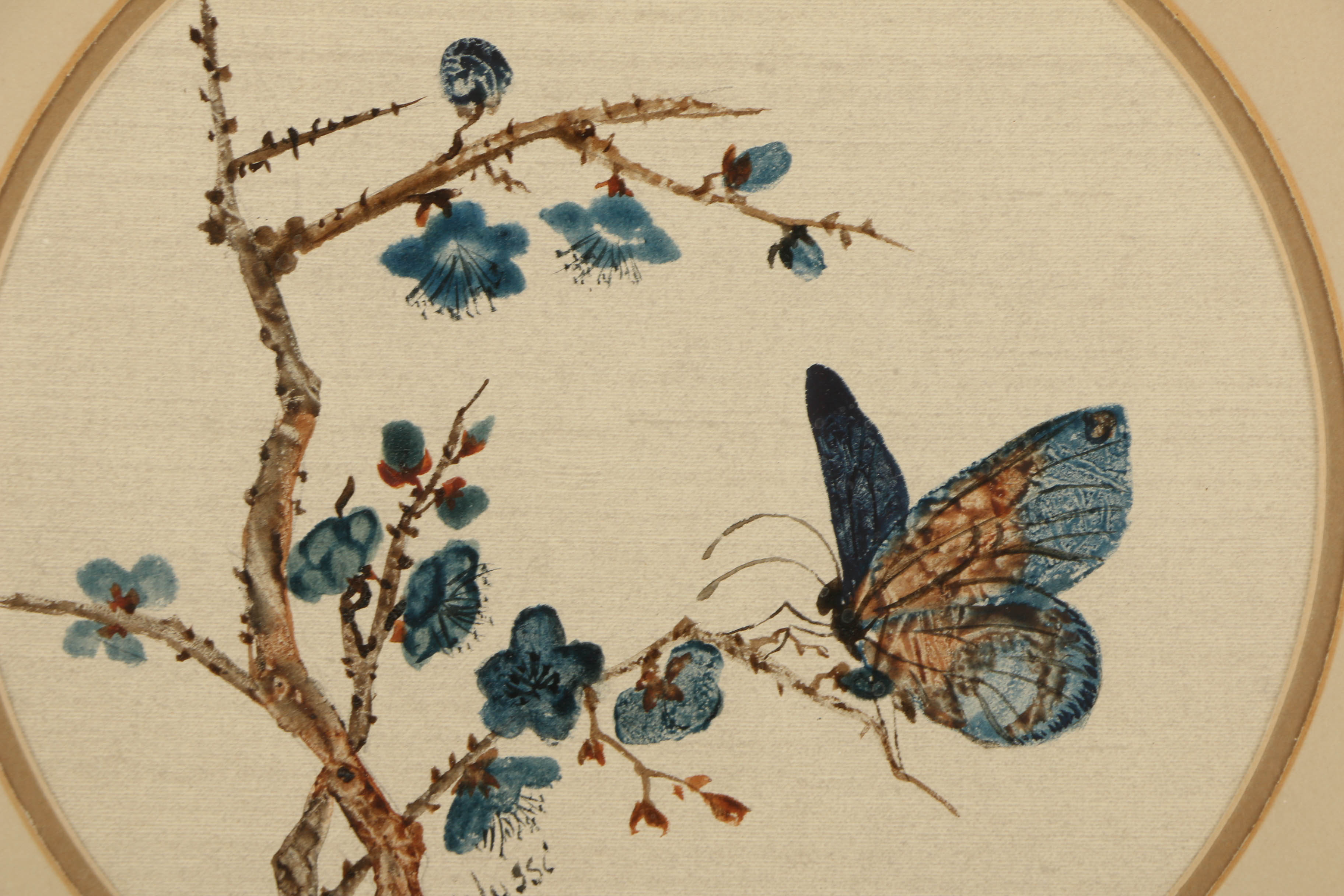 Louise Colussi Watercolor Paintings of Butterflies