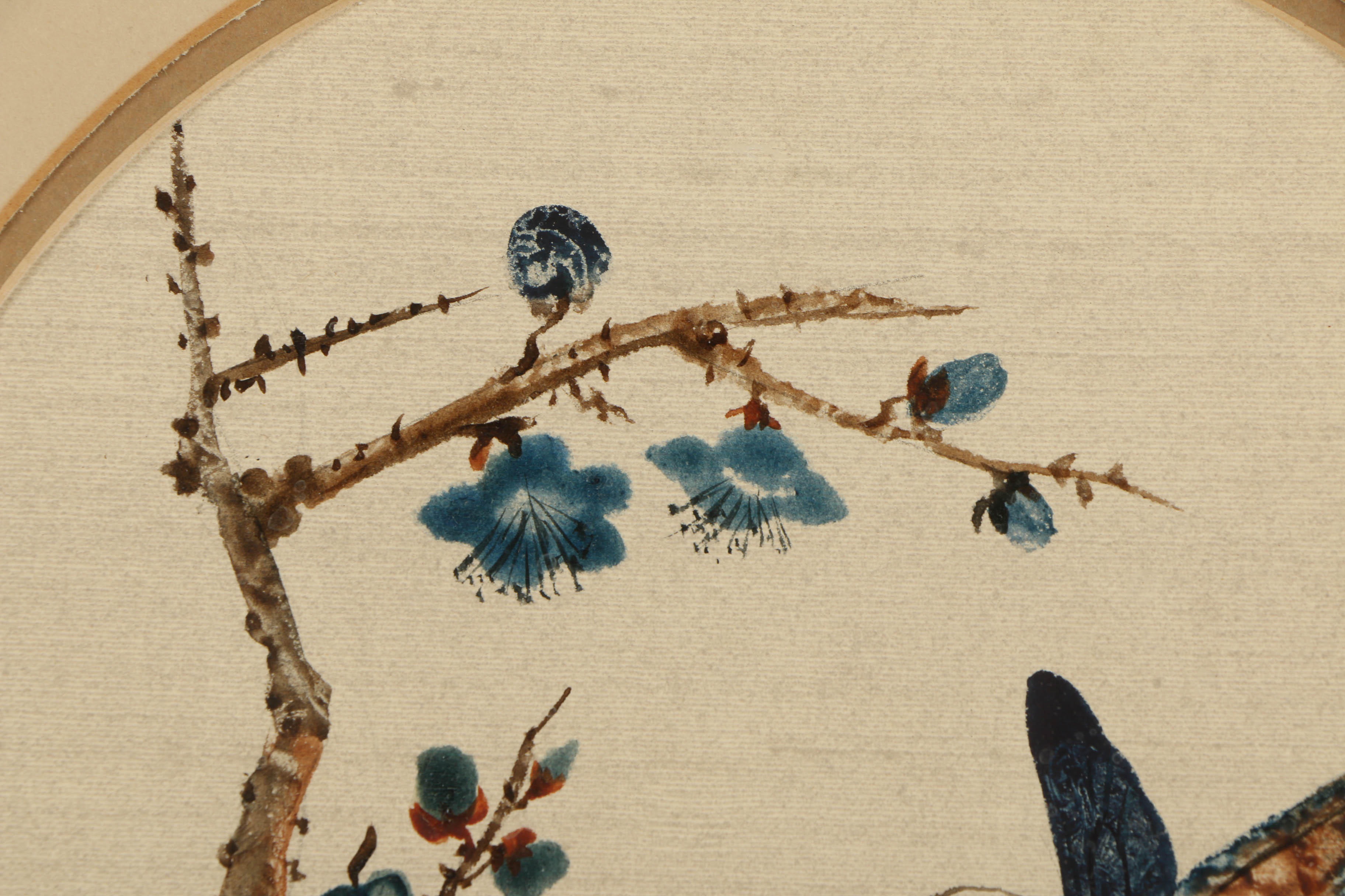 Louise Colussi Watercolor Paintings of Butterflies