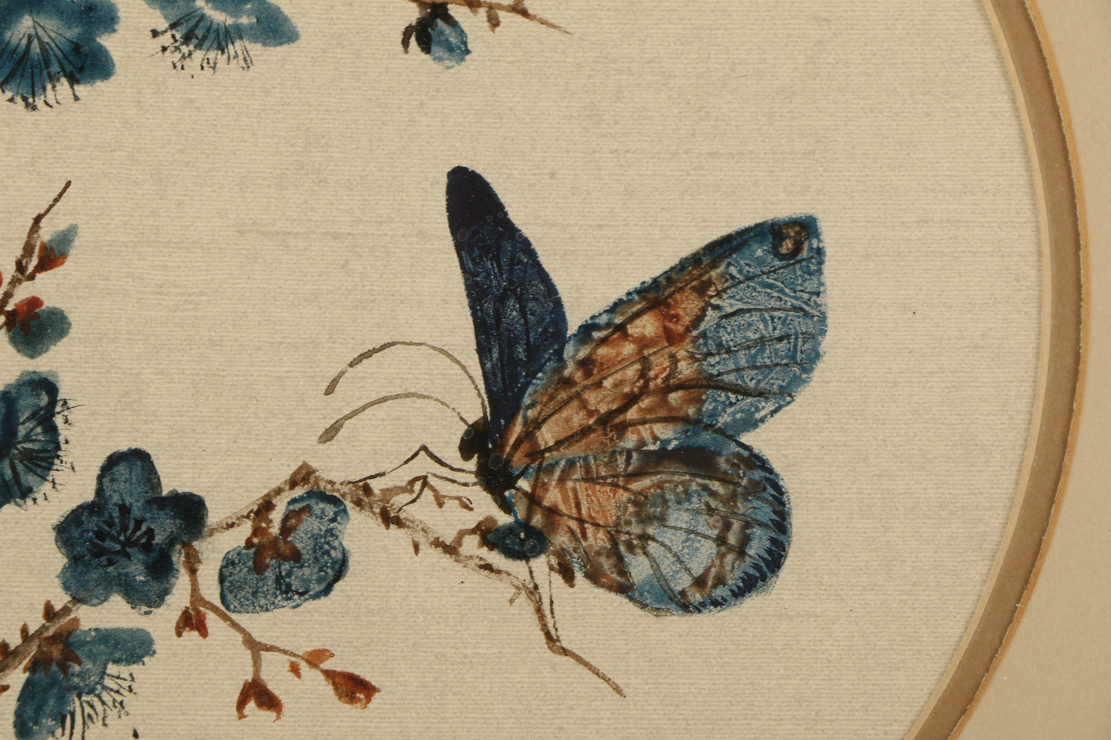 Louise Colussi Watercolor Paintings of Butterflies