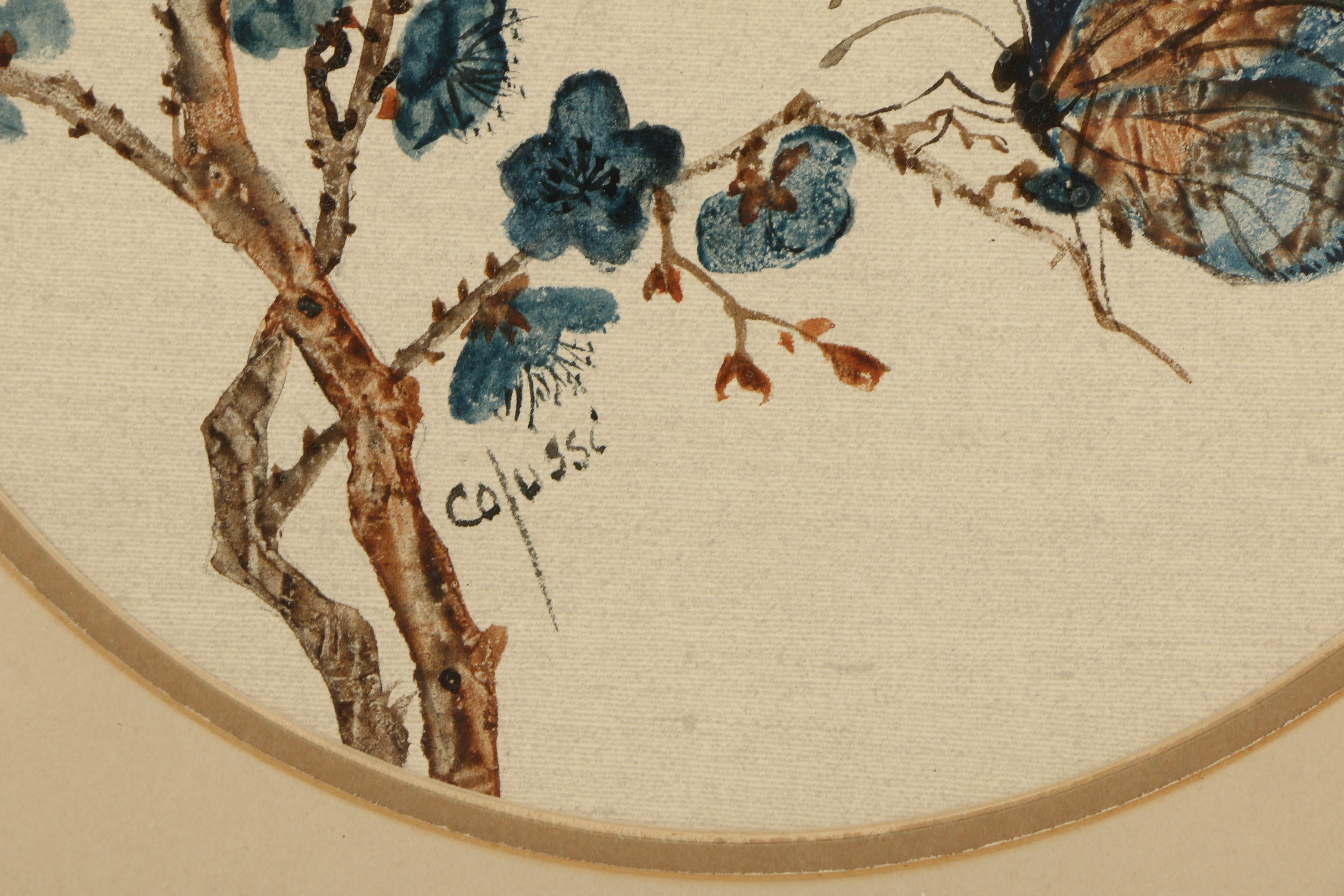 Louise Colussi Watercolor Paintings of Butterflies