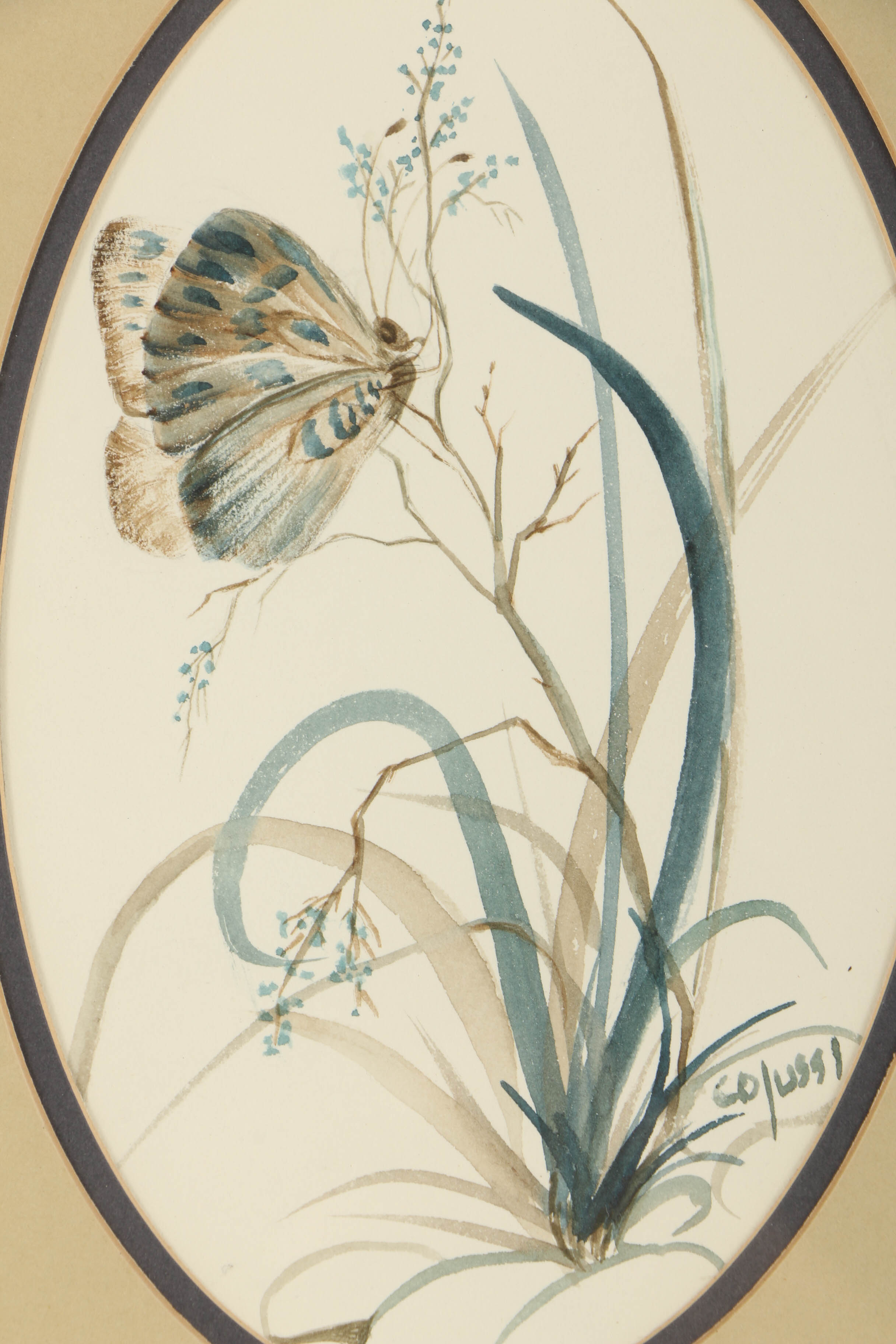 Louise Colussi Watercolor Paintings of Butterflies