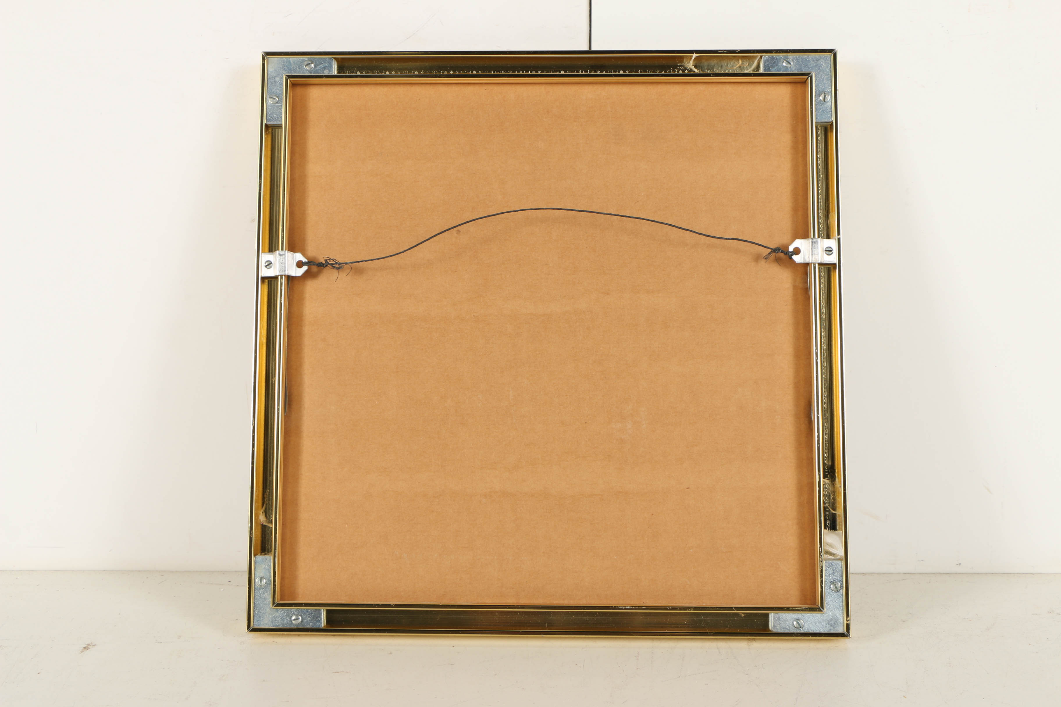 Louise Colussi Watercolor Paintings of Butterflies