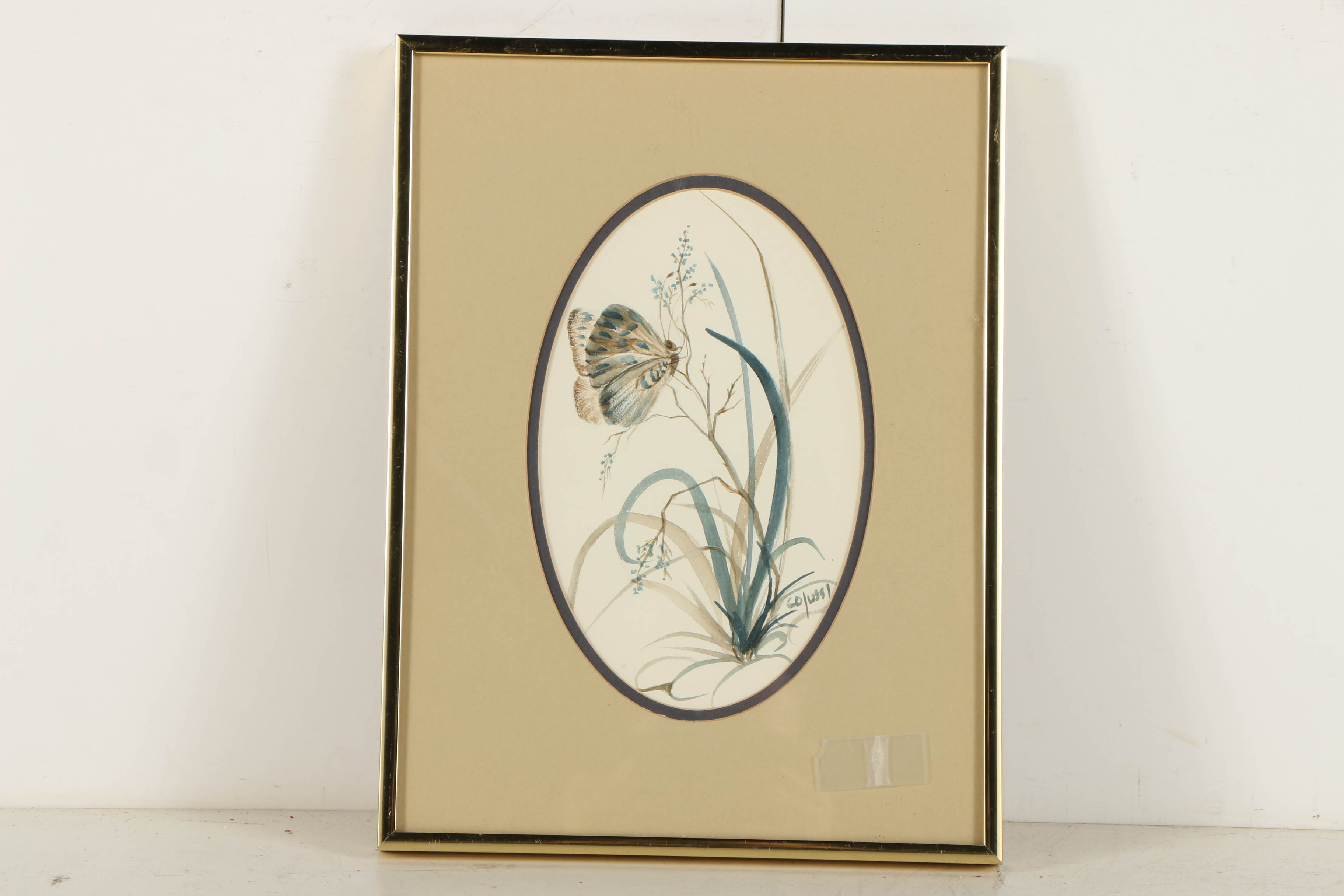 Louise Colussi Watercolor Paintings of Butterflies