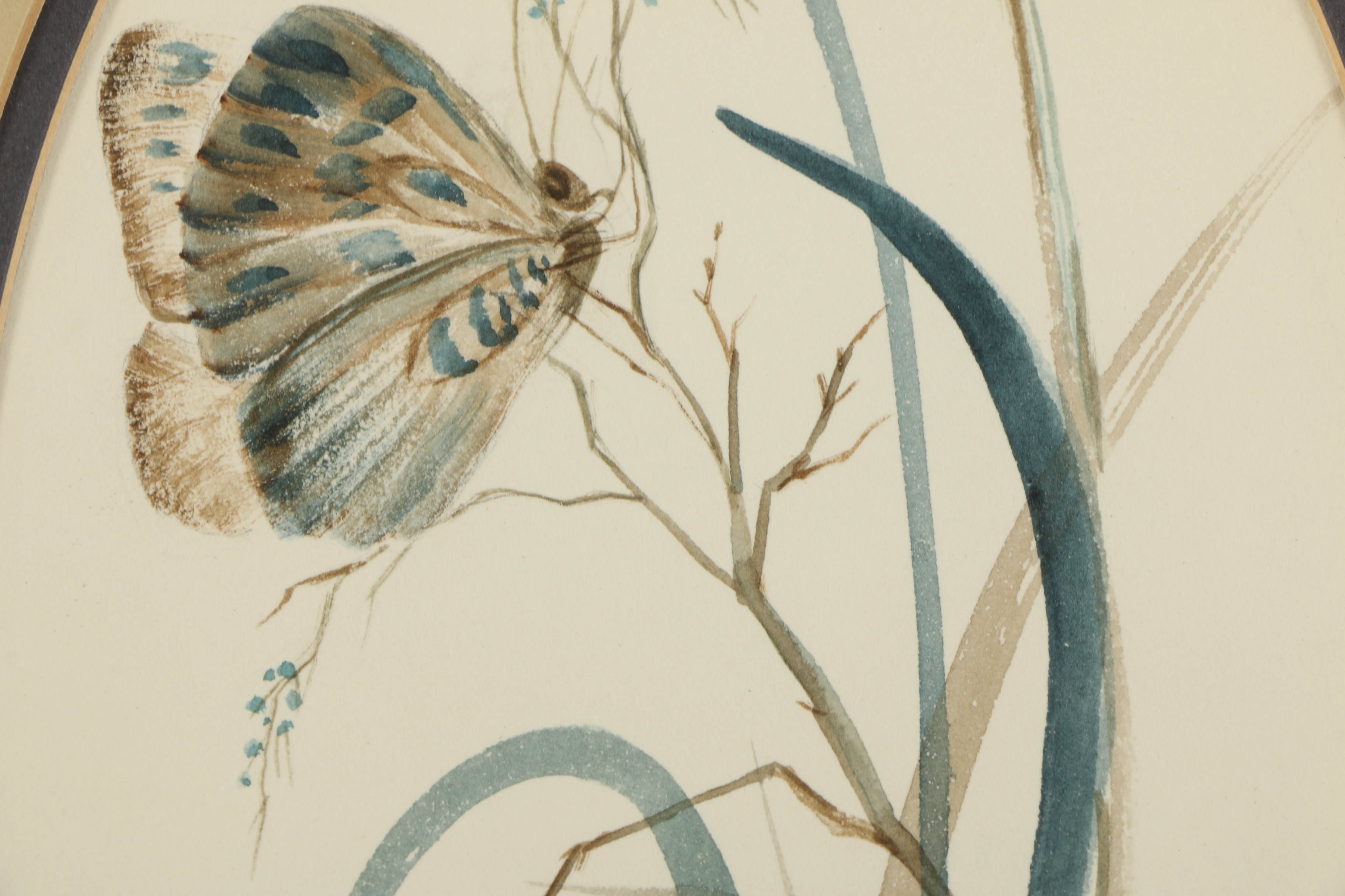 Louise Colussi Watercolor Paintings of Butterflies