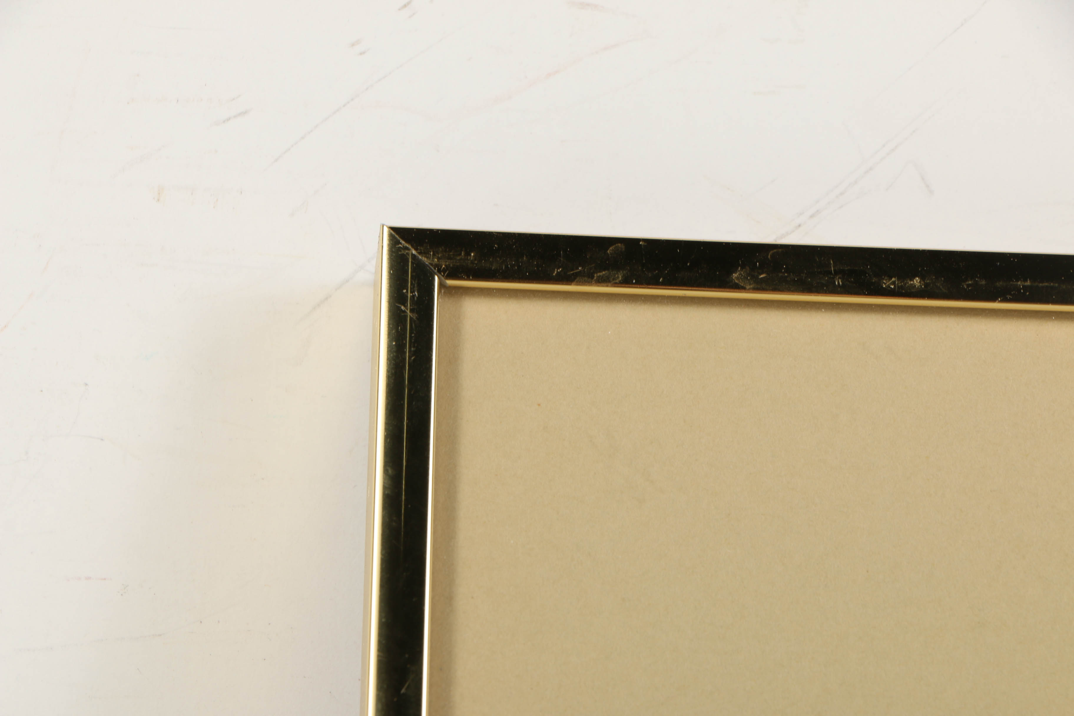 Louise Colussi Watercolor Paintings of Butterflies