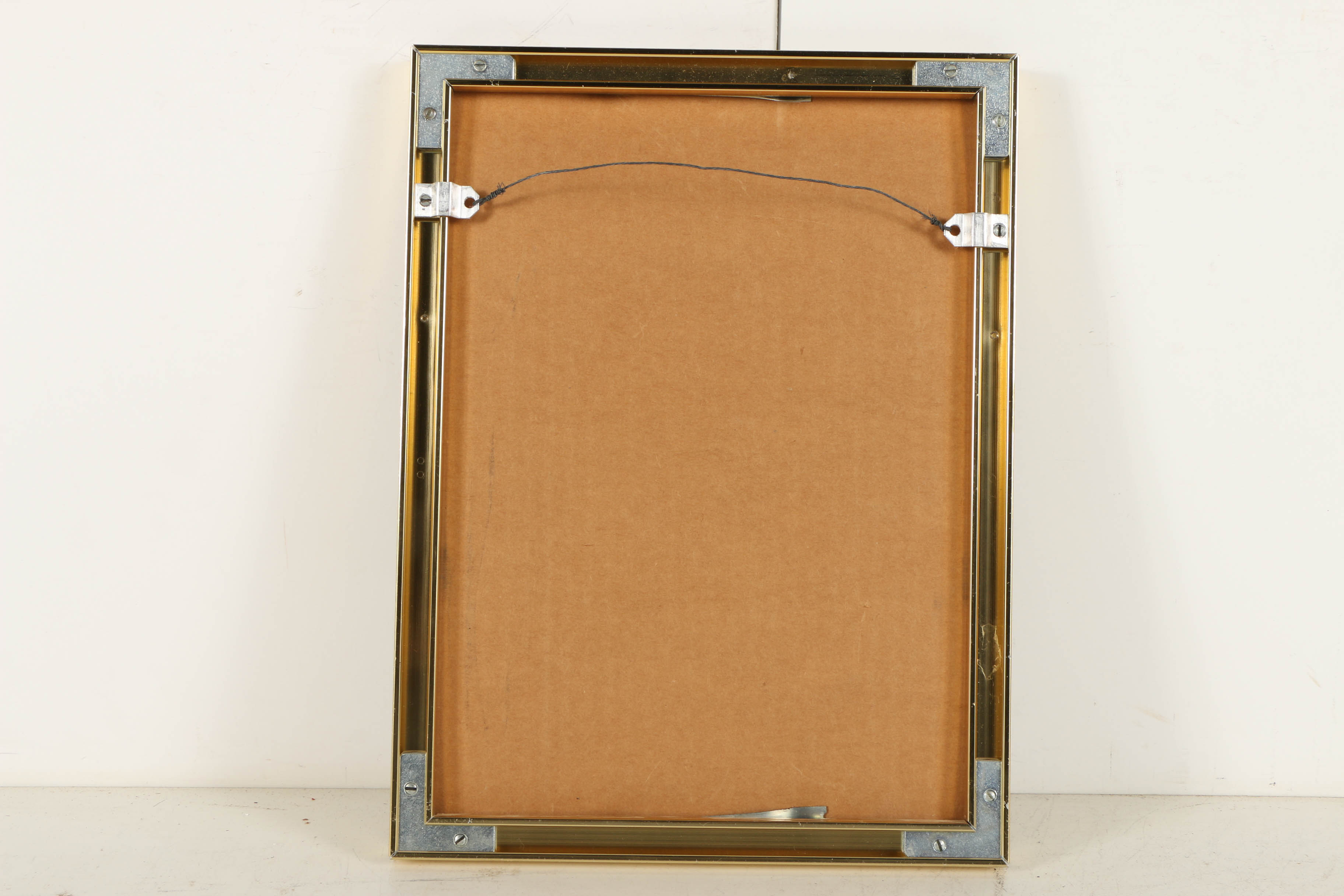 Louise Colussi Watercolor Paintings of Butterflies