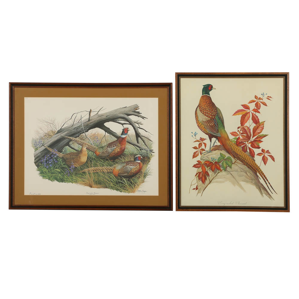 Roger Tory Peterson Chromolithograph "Ring-necked Pheasant" and More