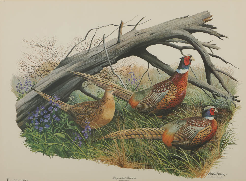 Roger Tory Peterson Chromolithograph "Ring-necked Pheasant" and More