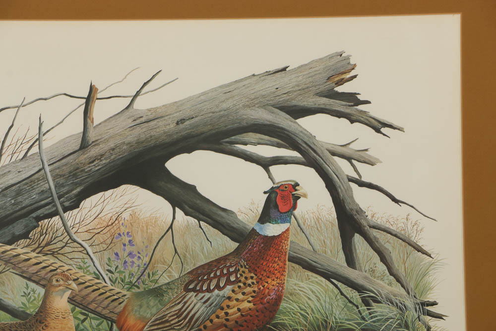 Roger Tory Peterson Chromolithograph "Ring-necked Pheasant" and More