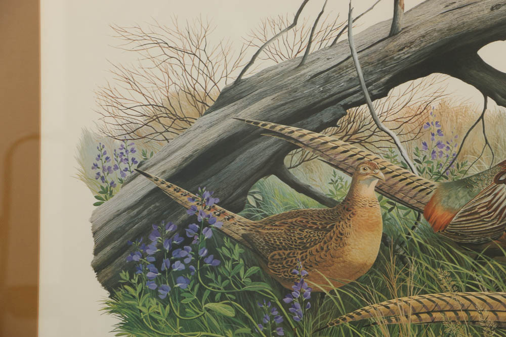 Roger Tory Peterson Chromolithograph "Ring-necked Pheasant" and More
