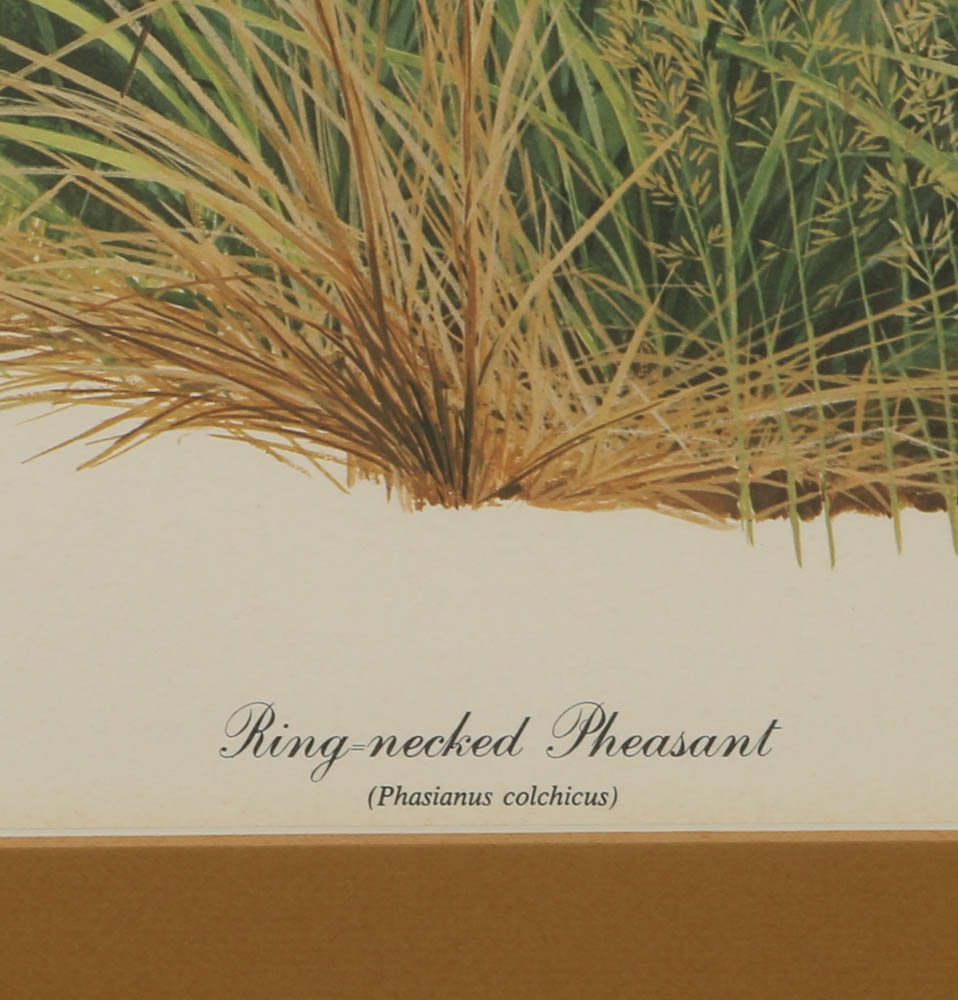 Roger Tory Peterson Chromolithograph "Ring-necked Pheasant" and More