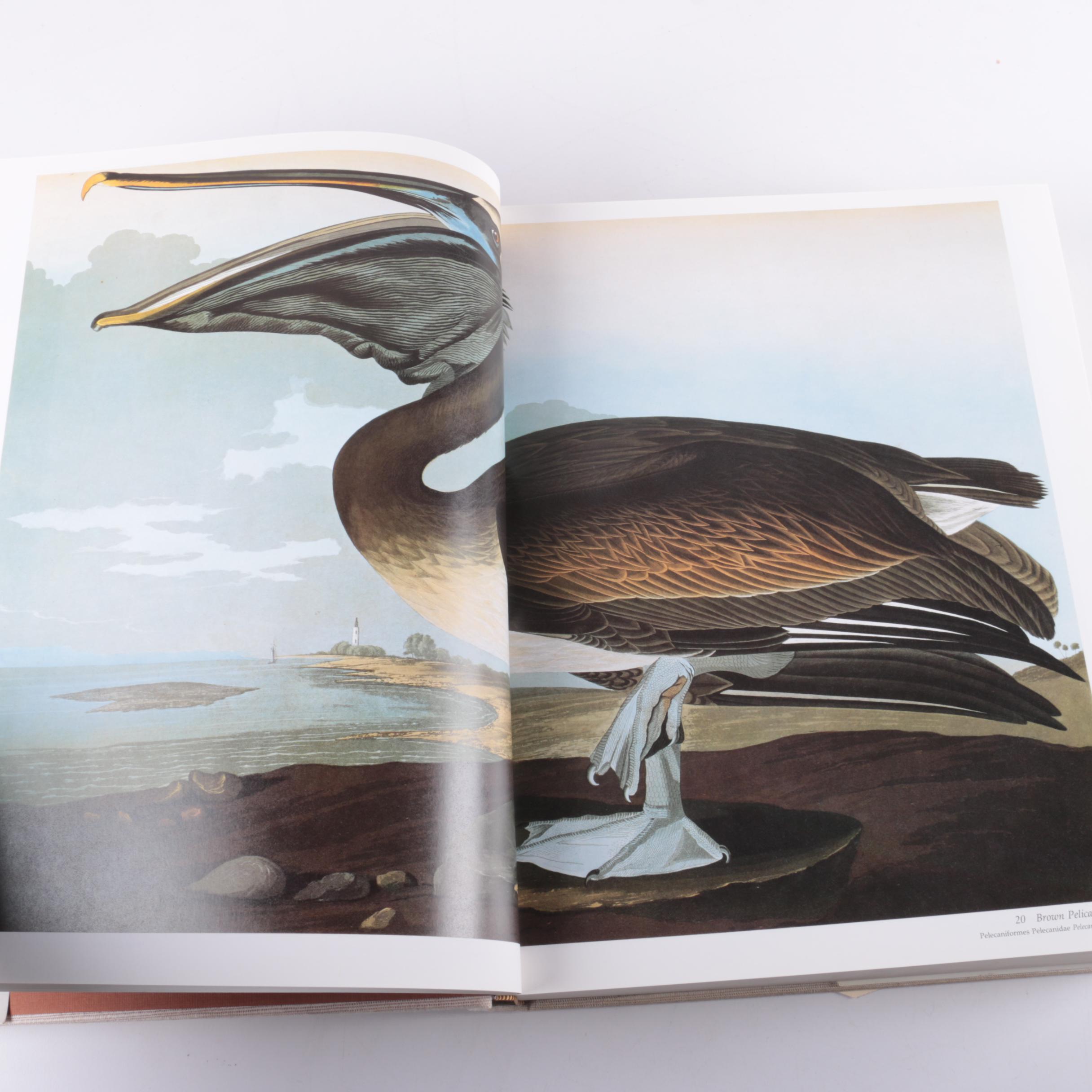 "Audubon's Birds of America" by Roger Tory Peterson and Virginia Marie Peterson