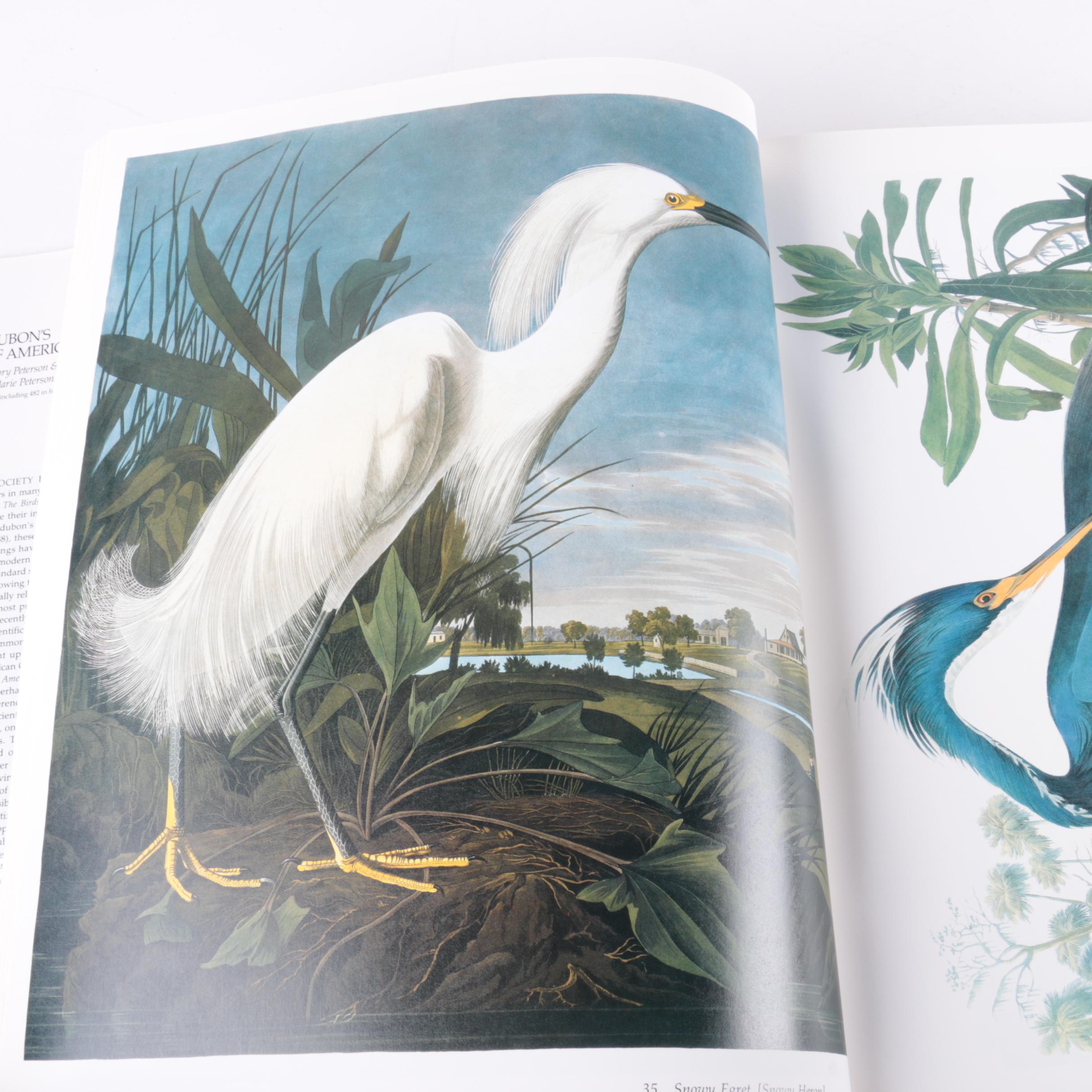 "Audubon's Birds of America" by Roger Tory Peterson and Virginia Marie Peterson