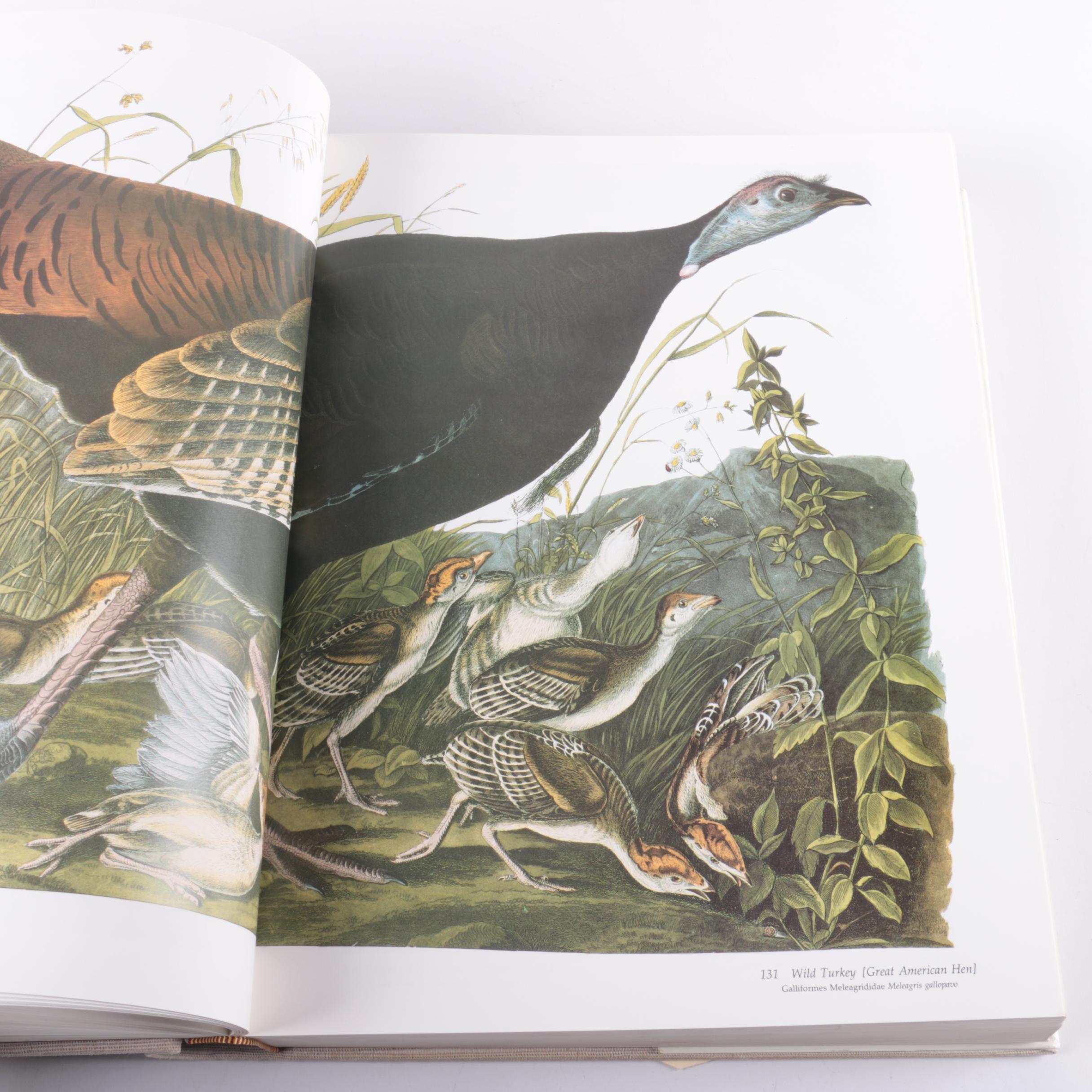 "Audubon's Birds of America" by Roger Tory Peterson and Virginia Marie Peterson