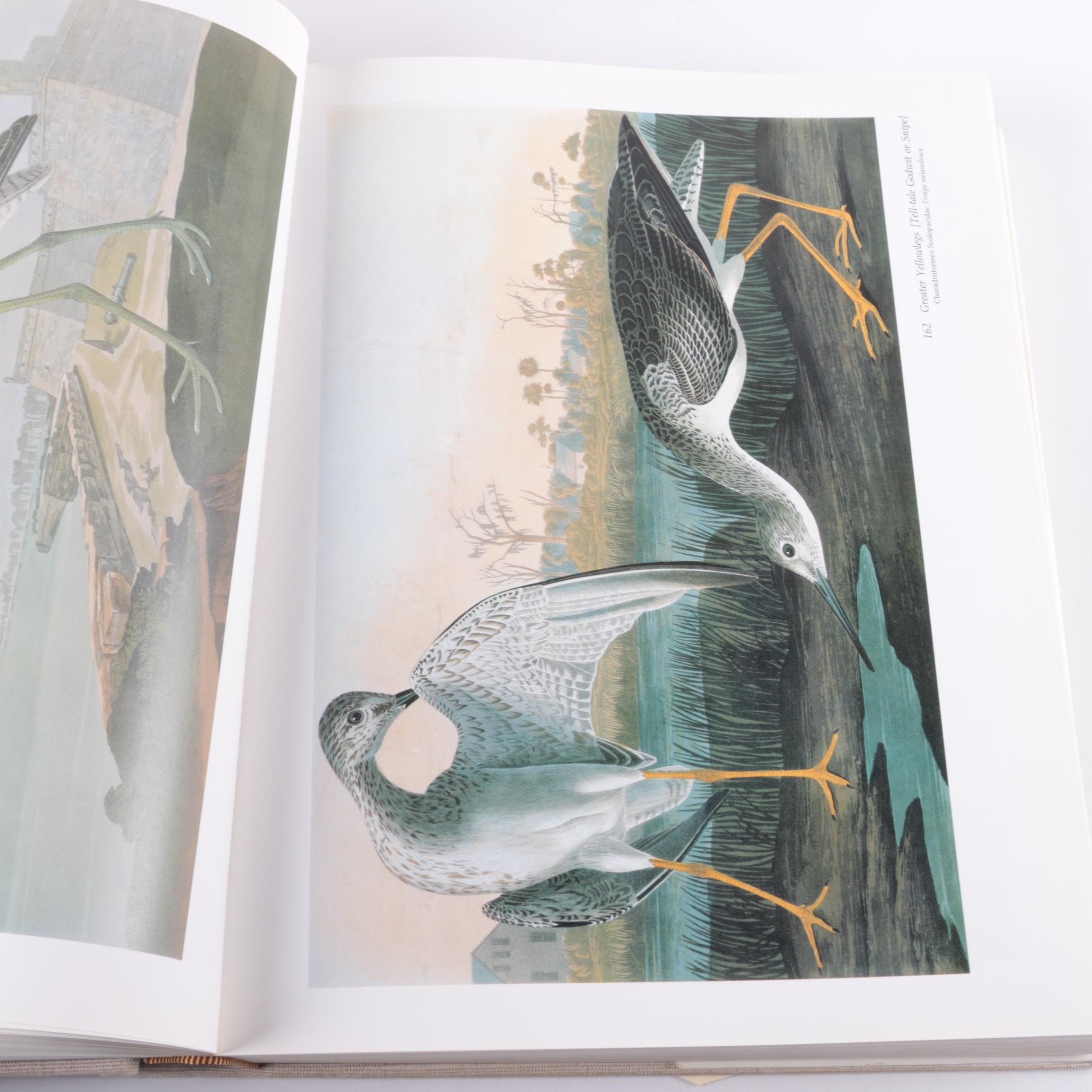 "Audubon's Birds of America" by Roger Tory Peterson and Virginia Marie Peterson