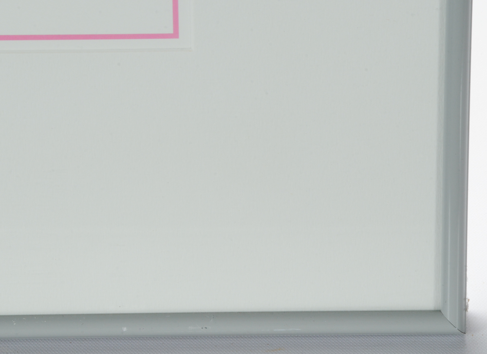 Offset Lithograph Print of Tropical Fish