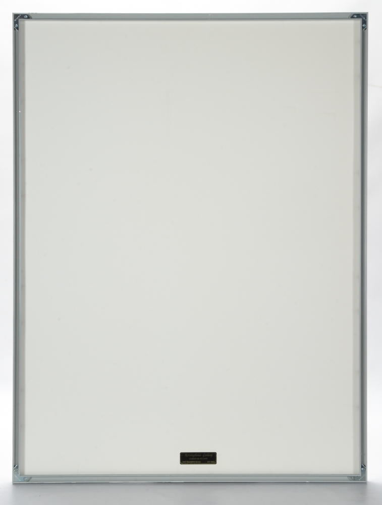 Offset Lithograph Print of Tropical Fish