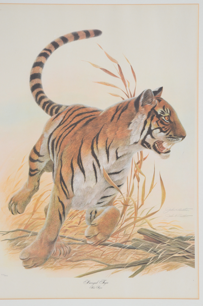 John Ruthven Limited Edition Offset Lithograph "Bengal Tiger"