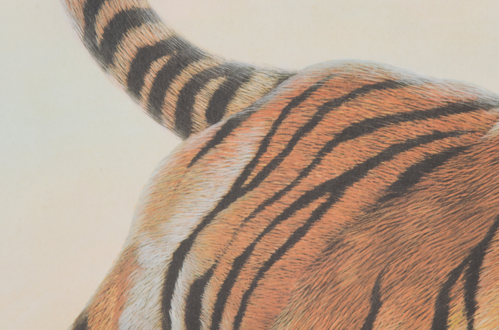 John Ruthven Limited Edition Offset Lithograph "Bengal Tiger"