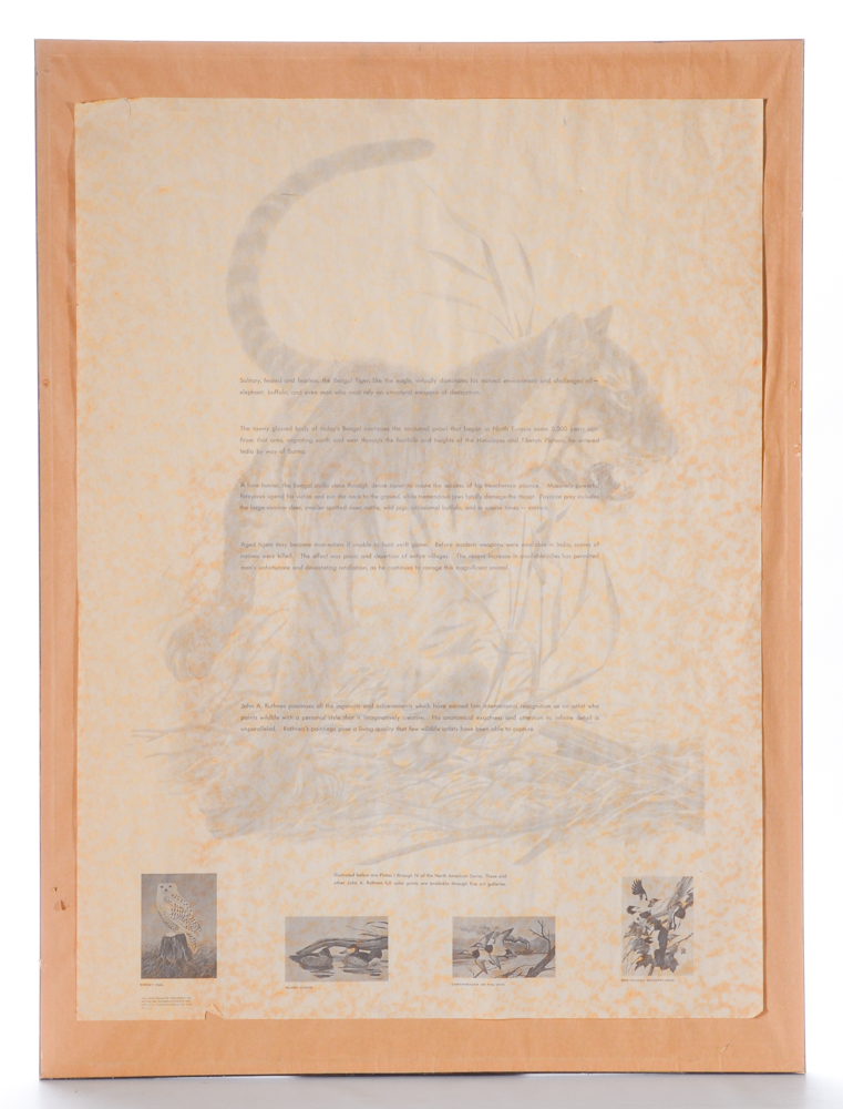John Ruthven Limited Edition Offset Lithograph "Bengal Tiger"