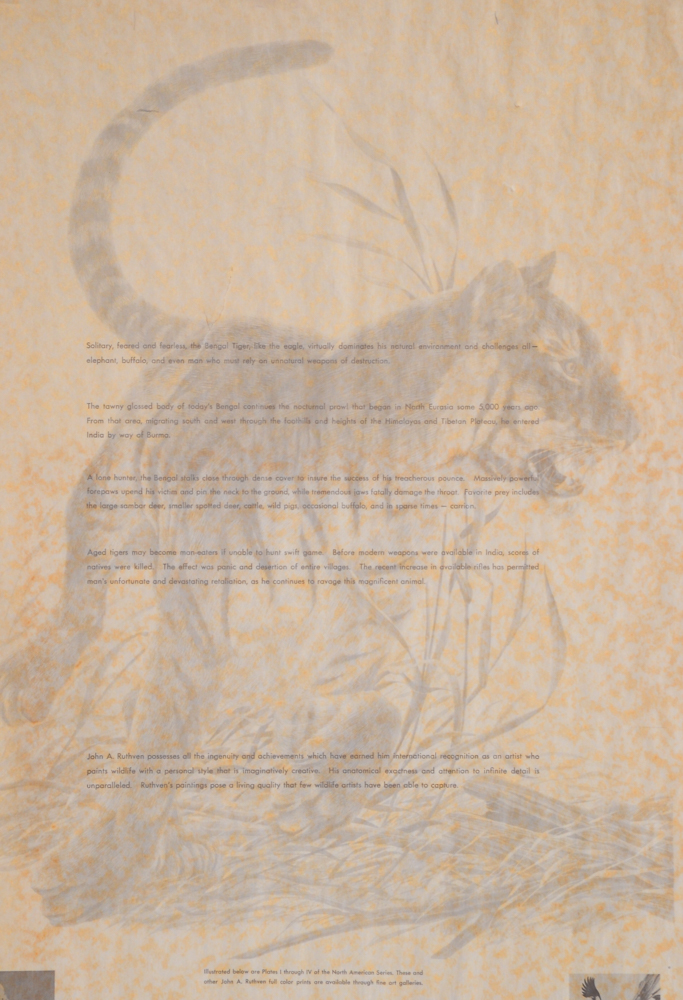John Ruthven Limited Edition Offset Lithograph "Bengal Tiger"